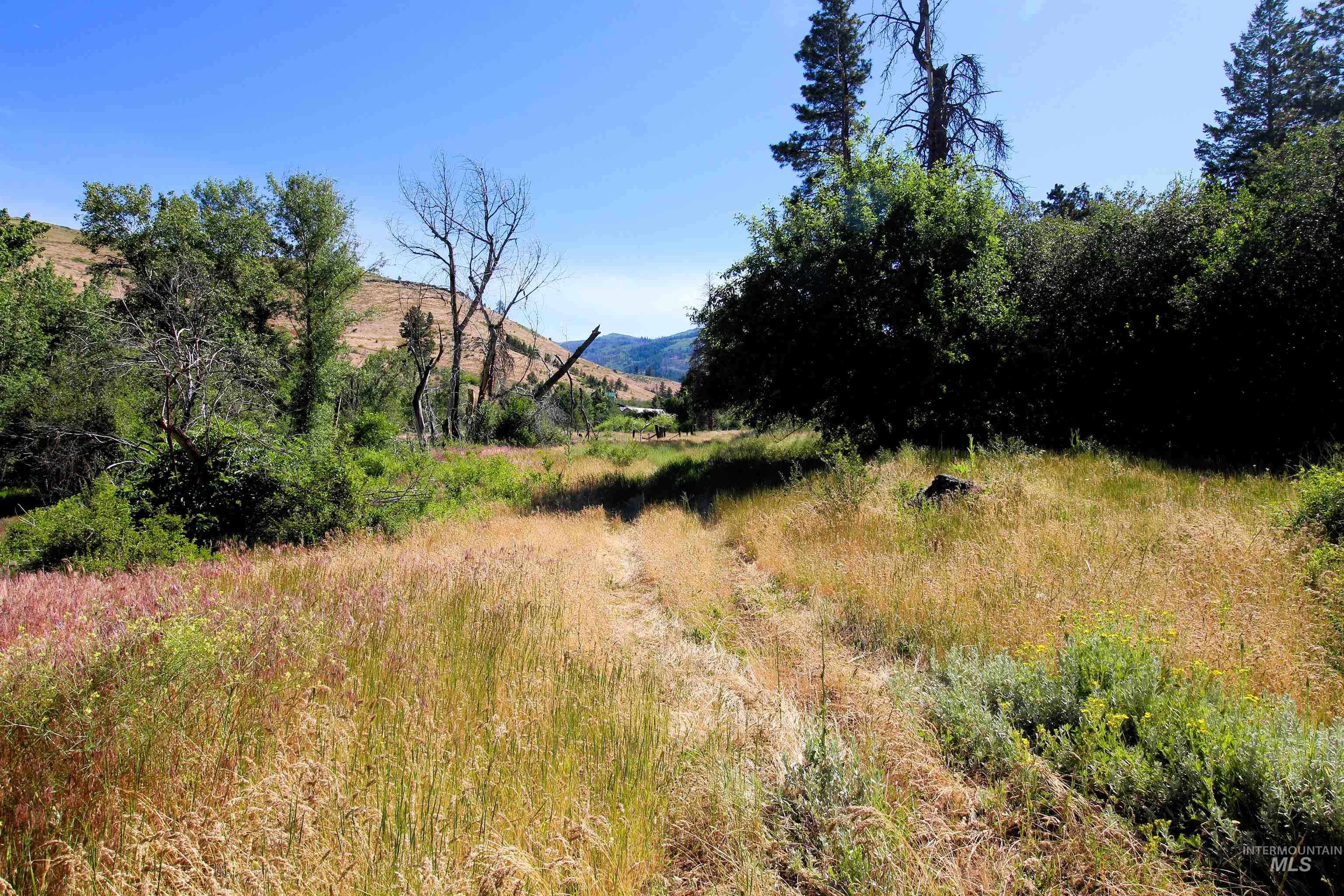 TBD Lot 1 Advent Gulch Rd, Cambridge, Idaho 83610, Land For Sale, Price $185,000, 98990721