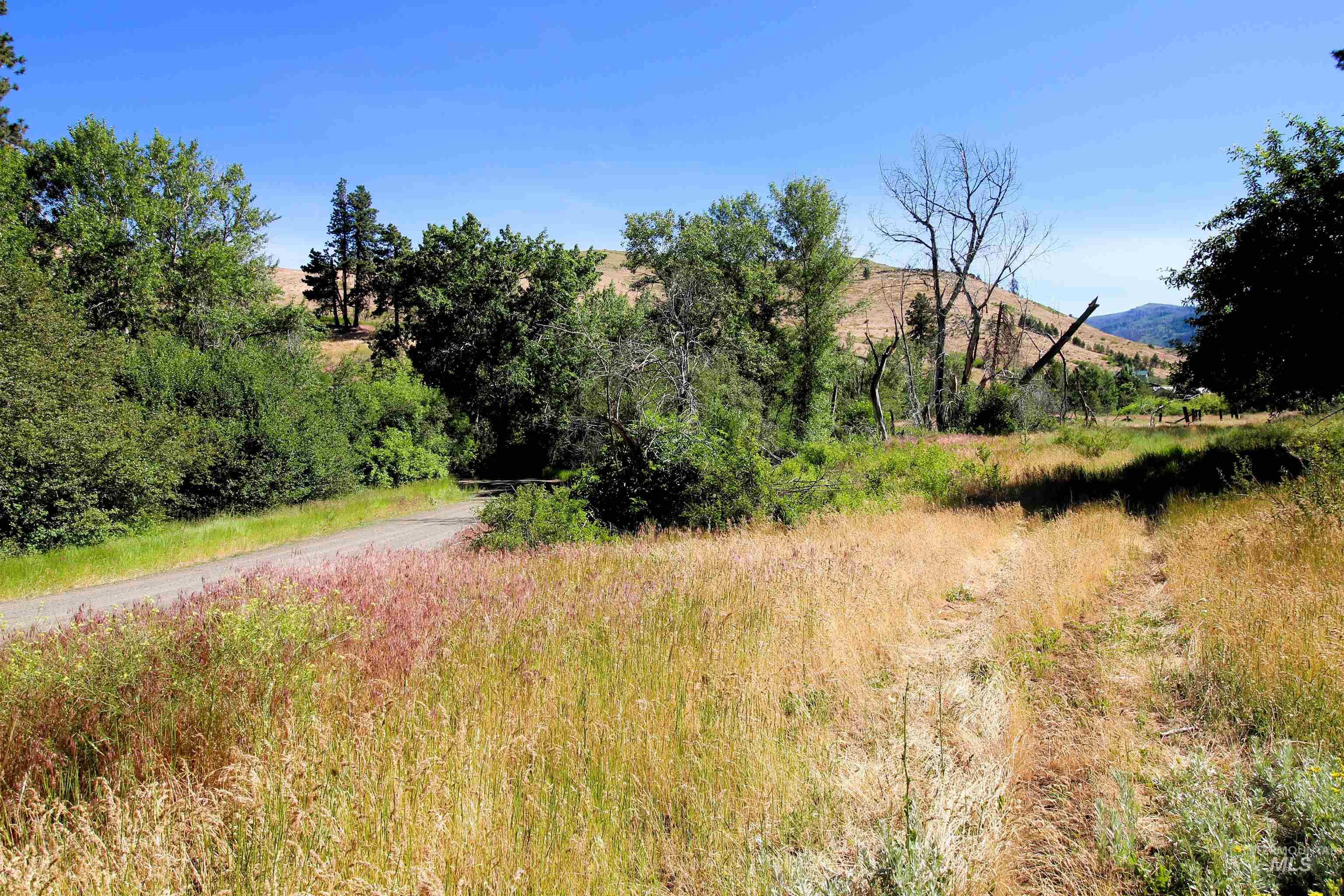 TBD Lot 1 Advent Gulch Rd, Cambridge, Idaho 83610, Land For Sale, Price $185,000, 98990721