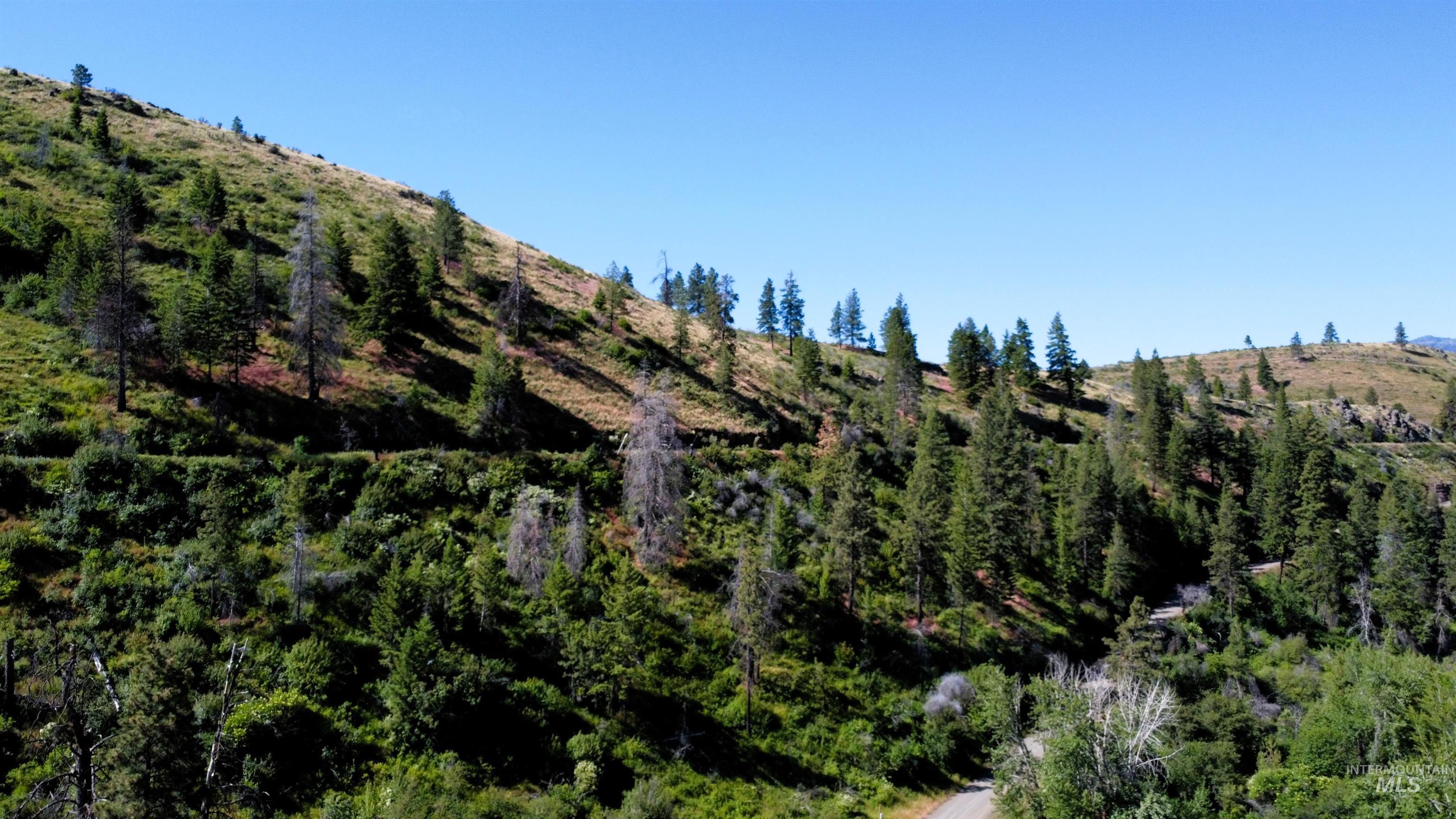 TBD Lot 1 Advent Gulch Rd, Cambridge, Idaho 83610, Land For Sale, Price $185,000, 98990721