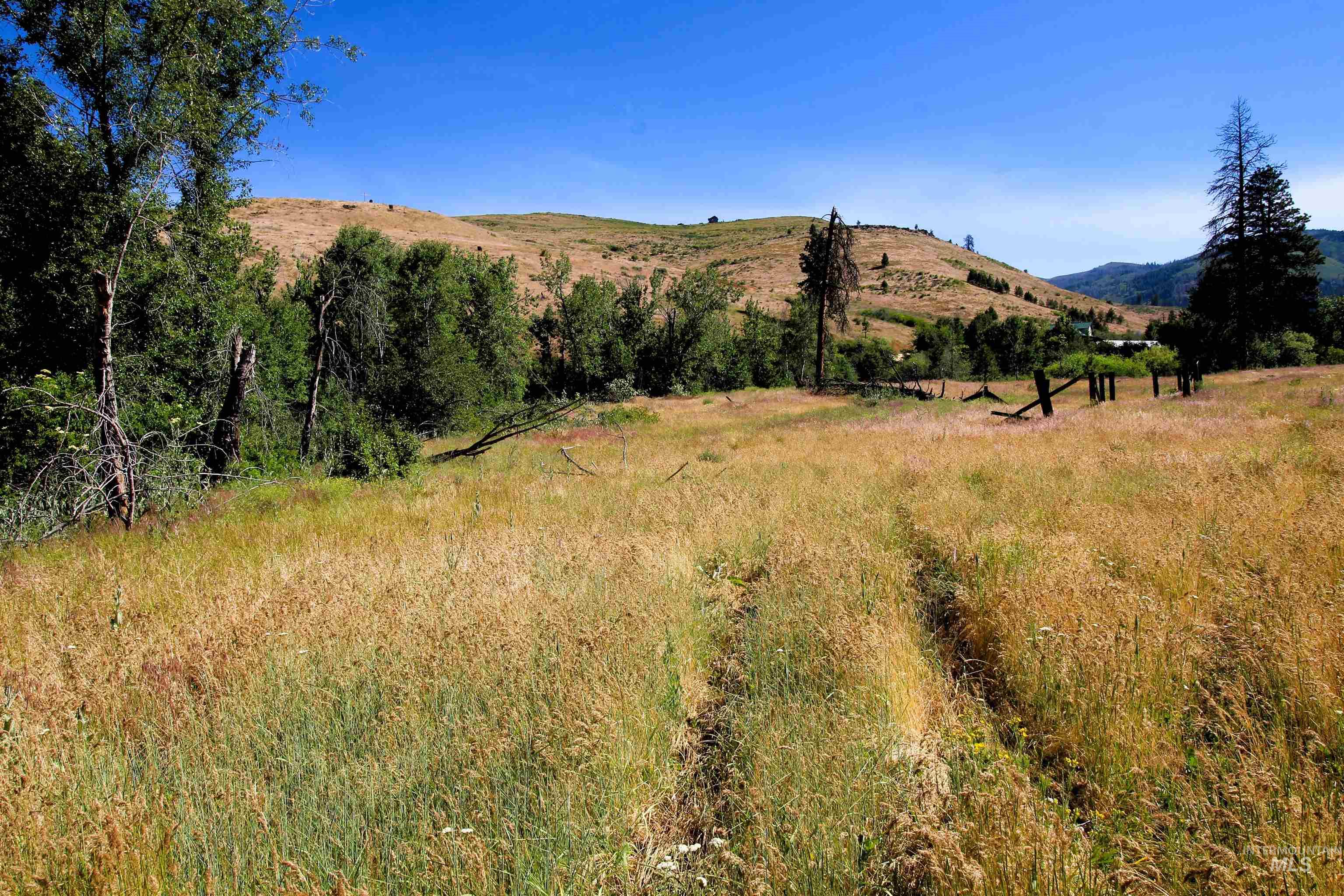 TBD Lot 1 Advent Gulch Rd, Cambridge, Idaho 83610, Land For Sale, Price $185,000, 98990721