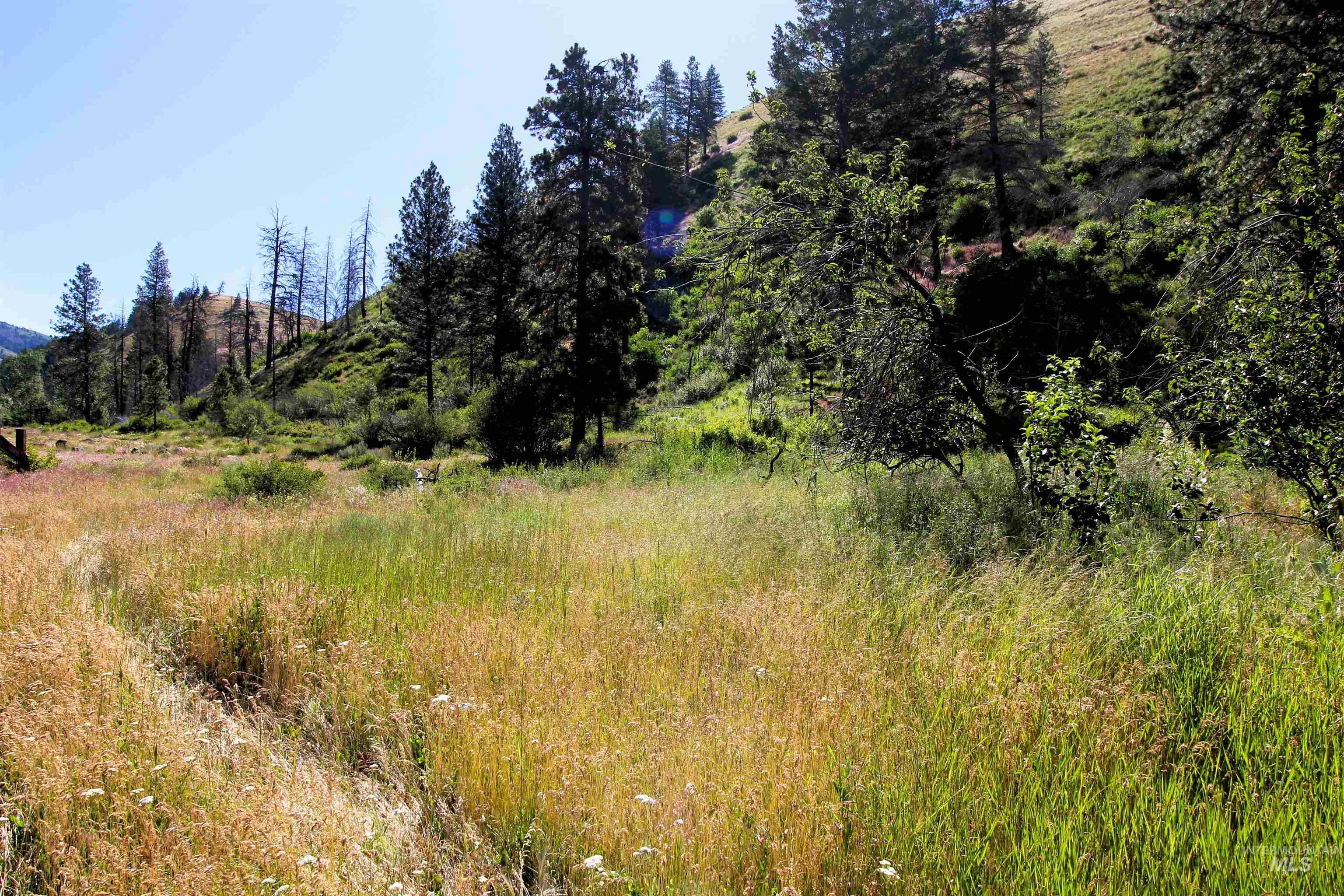 TBD Lot 1 Advent Gulch Rd, Cambridge, Idaho 83610, Land For Sale, Price $185,000, 98990721