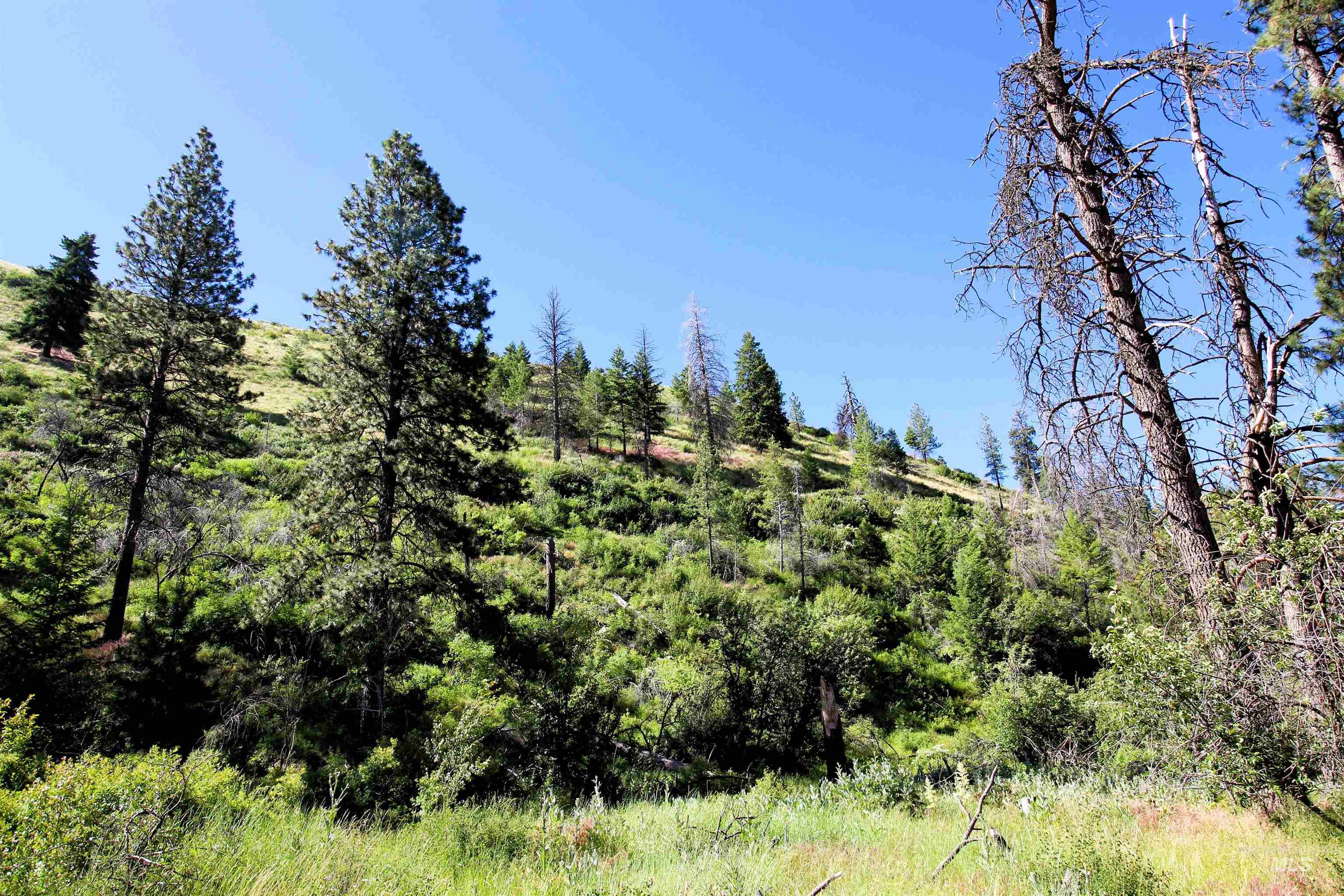 TBD Lot 1 Advent Gulch Rd, Cambridge, Idaho 83610, Land For Sale, Price $185,000, 98990721