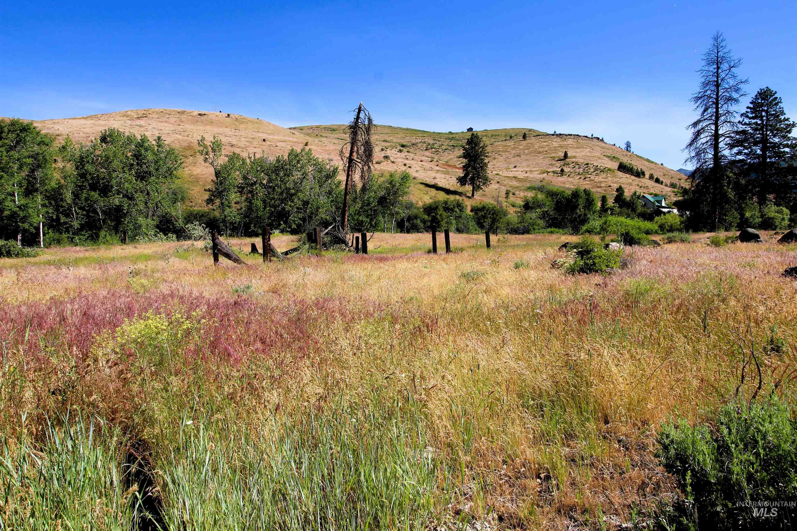 TBD Lot 1 Advent Gulch Rd, Cambridge, Idaho 83610, Land For Sale, Price $185,000, 98990721