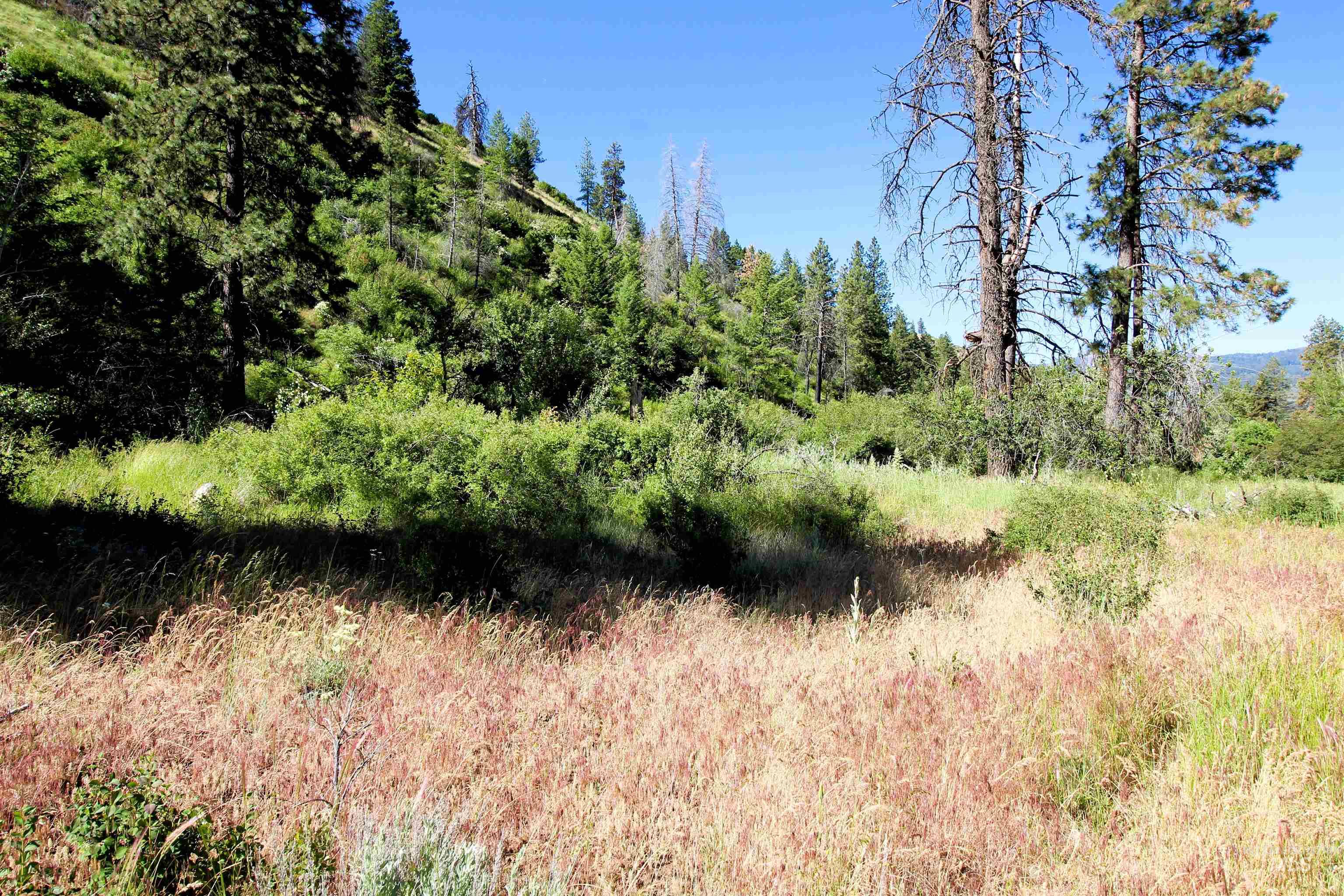 TBD Lot 1 Advent Gulch Rd, Cambridge, Idaho 83610, Land For Sale, Price $185,000, 98990721