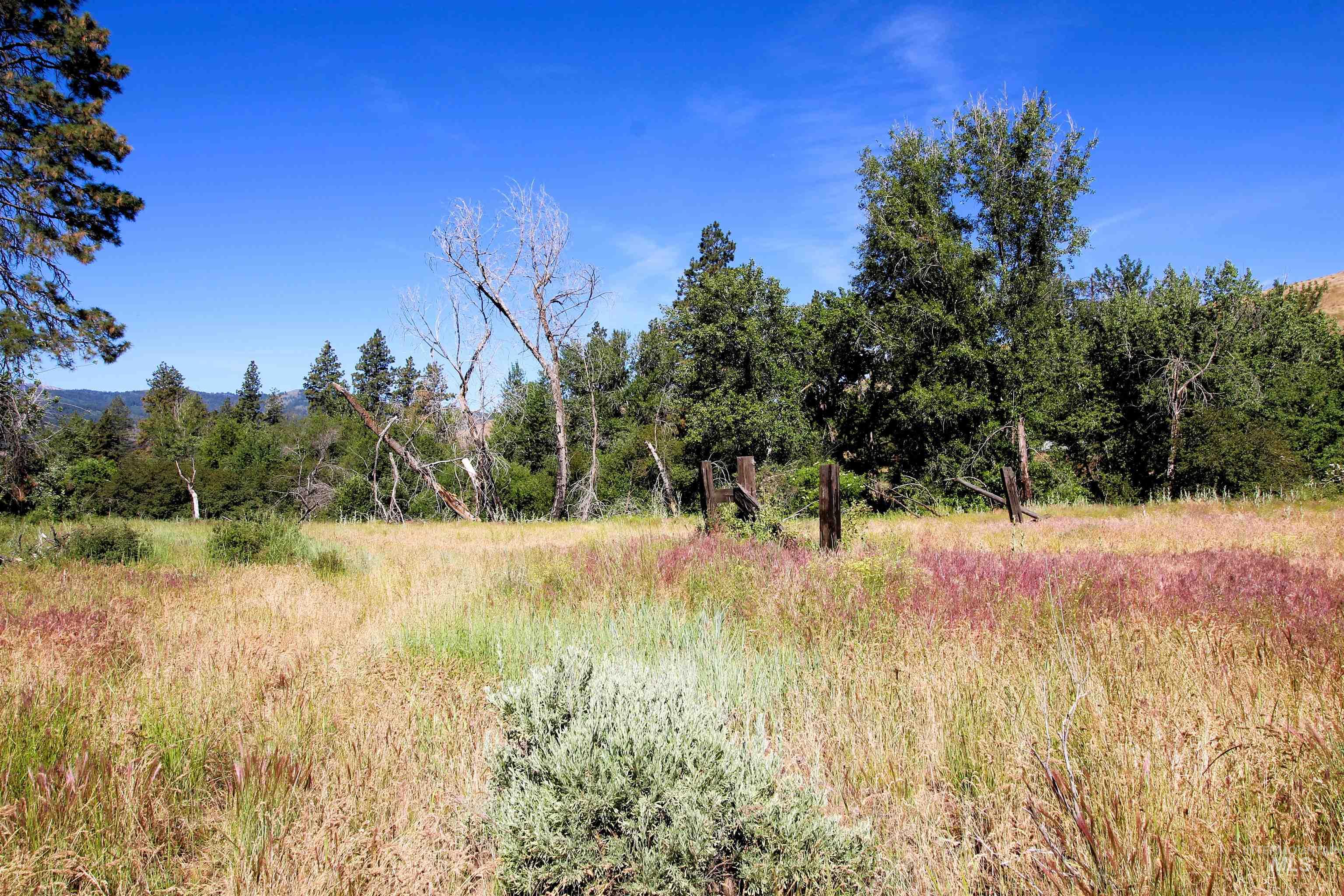 TBD Lot 1 Advent Gulch Rd, Cambridge, Idaho 83610, Land For Sale, Price $185,000, 98990721