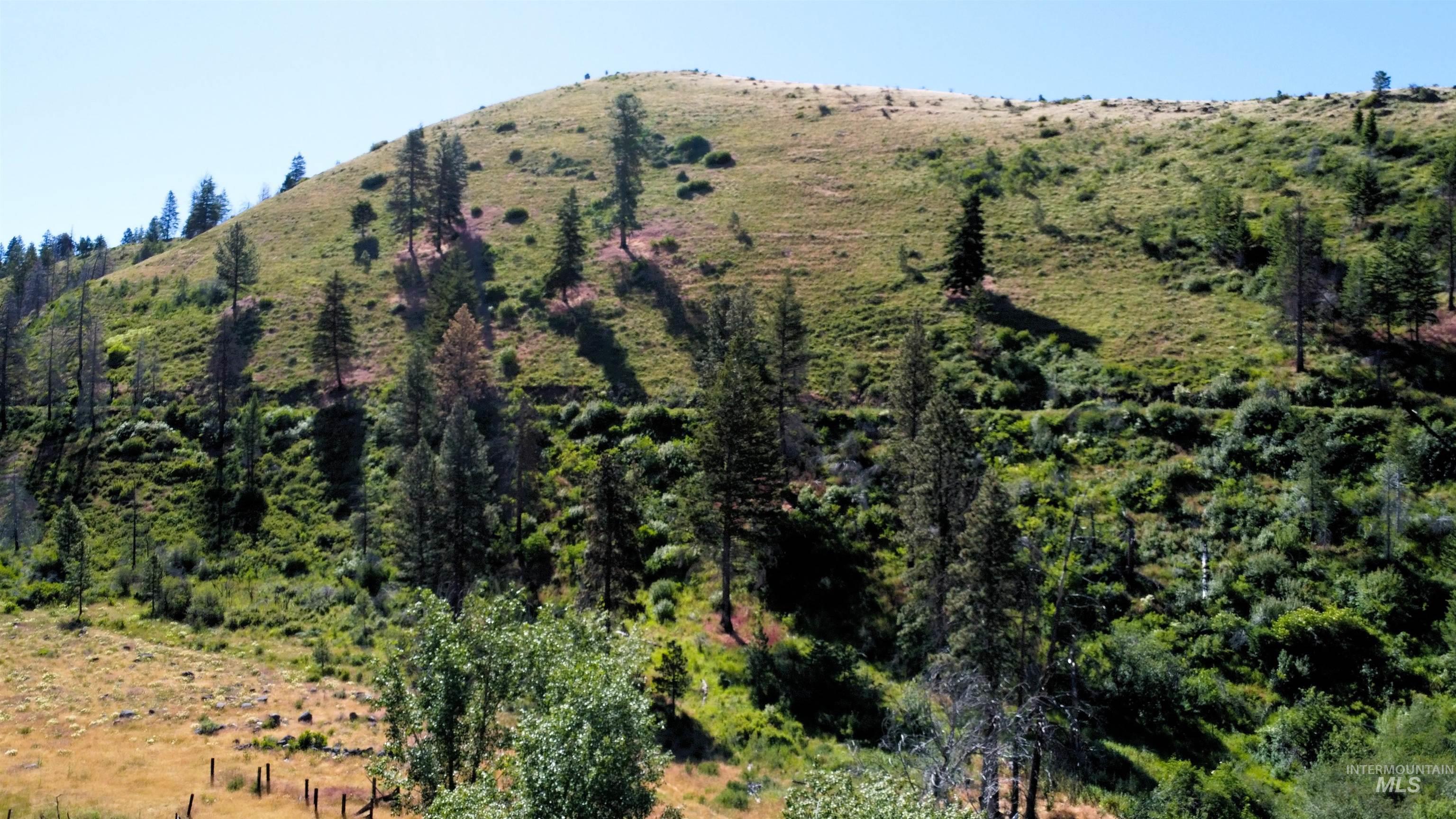 TBD Lot 1 Advent Gulch Rd, Cambridge, Idaho 83610, Land For Sale, Price $185,000, 98990721