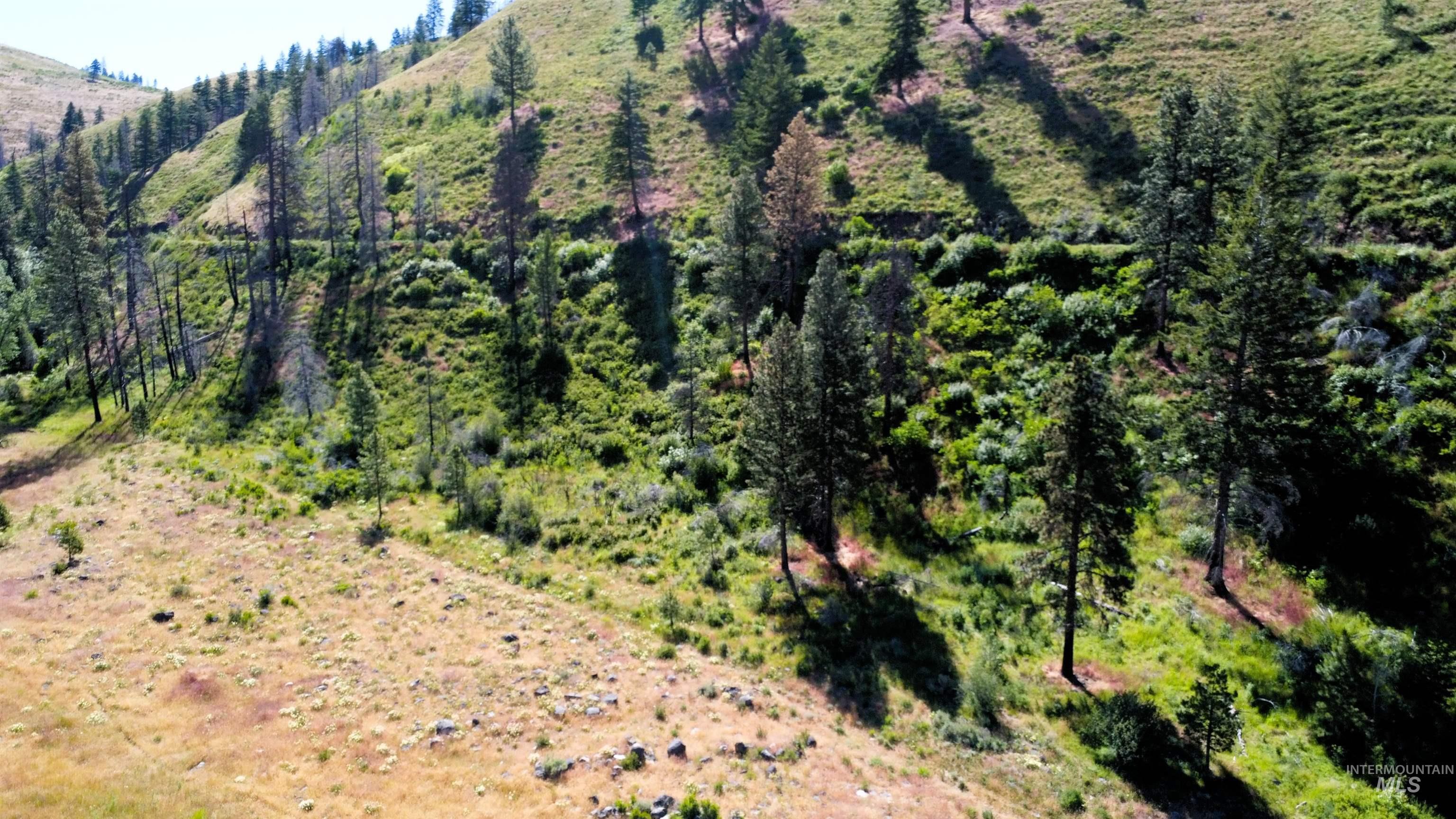 TBD Lot 1 Advent Gulch Rd, Cambridge, Idaho 83610, Land For Sale, Price $185,000, 98990721