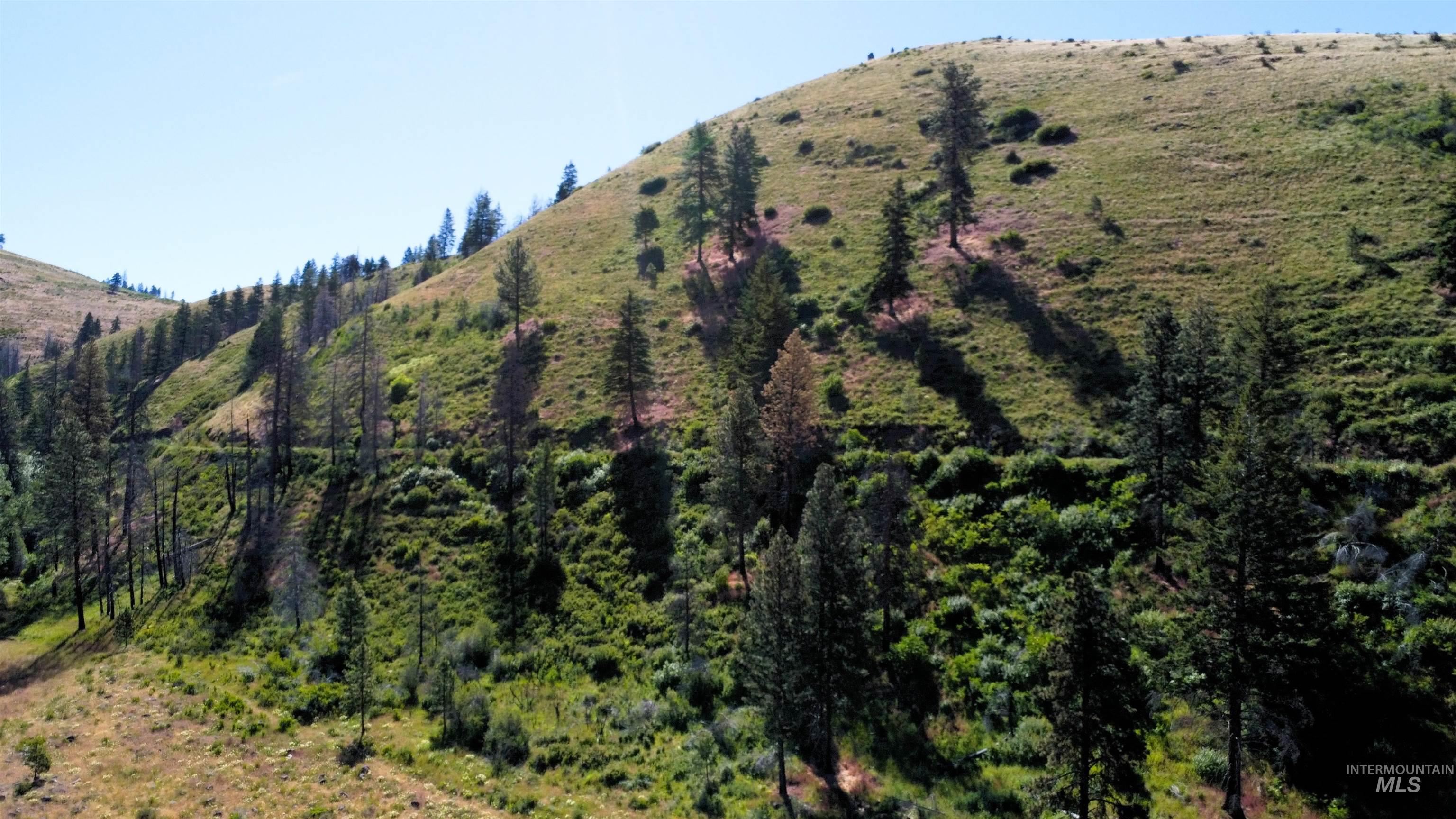 TBD Lot 1 Advent Gulch Rd, Cambridge, Idaho 83610, Land For Sale, Price $185,000, 98990721