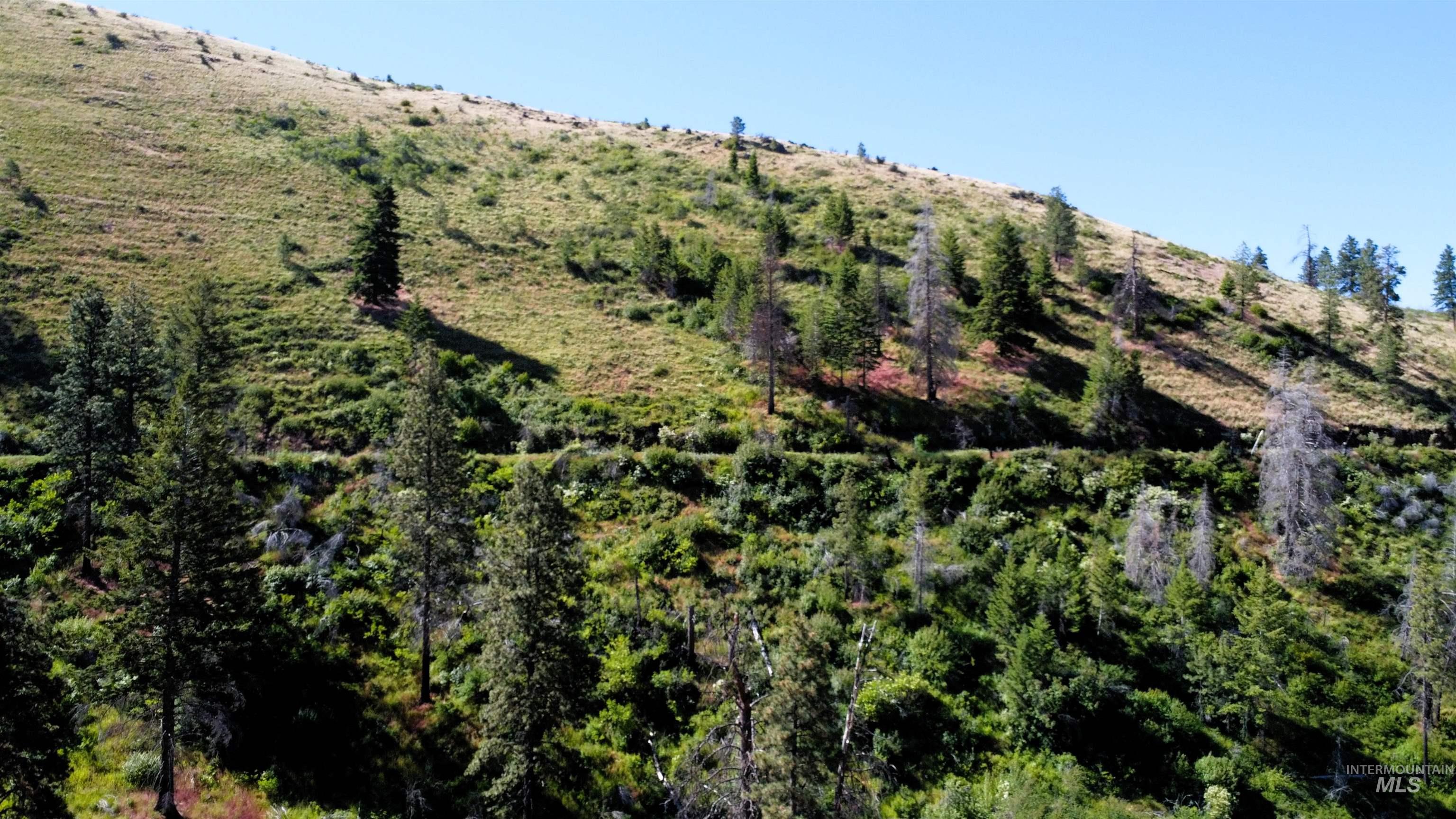 TBD Lot 1 Advent Gulch Rd, Cambridge, Idaho 83610, Land For Sale, Price $185,000, 98990721
