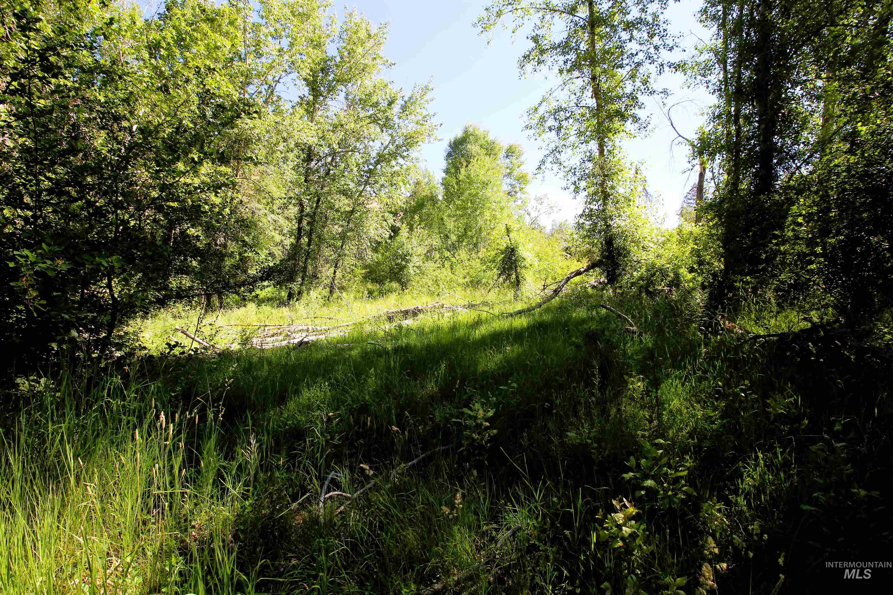 TBD Lot 1 Advent Gulch Rd, Cambridge, Idaho 83610, Land For Sale, Price $185,000, 98990721