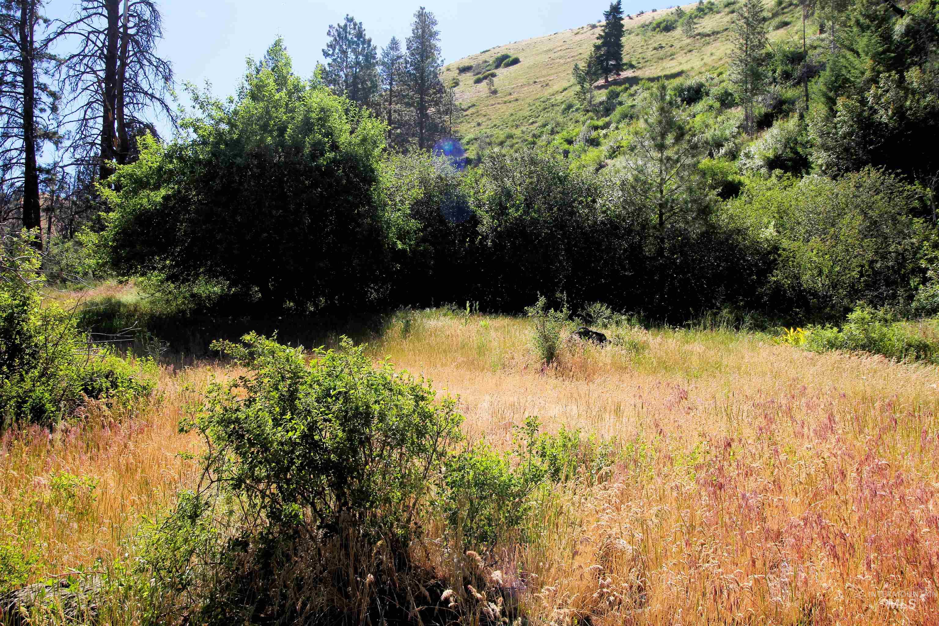 TBD Lot 1 Advent Gulch Rd, Cambridge, Idaho 83610, Land For Sale, Price $185,000, 98990721