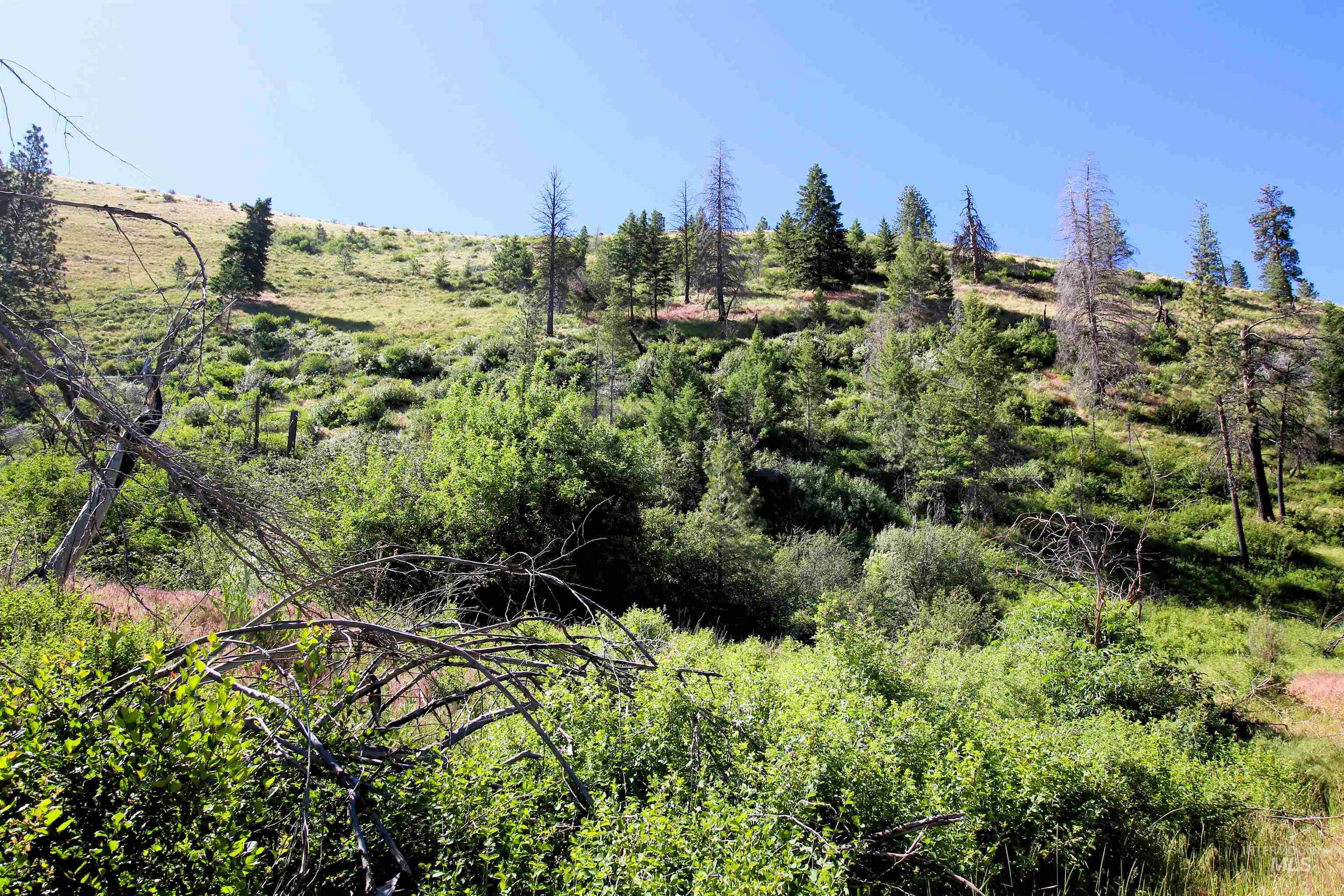 TBD Lot 1 Advent Gulch Rd, Cambridge, Idaho 83610, Land For Sale, Price $185,000, 98990721