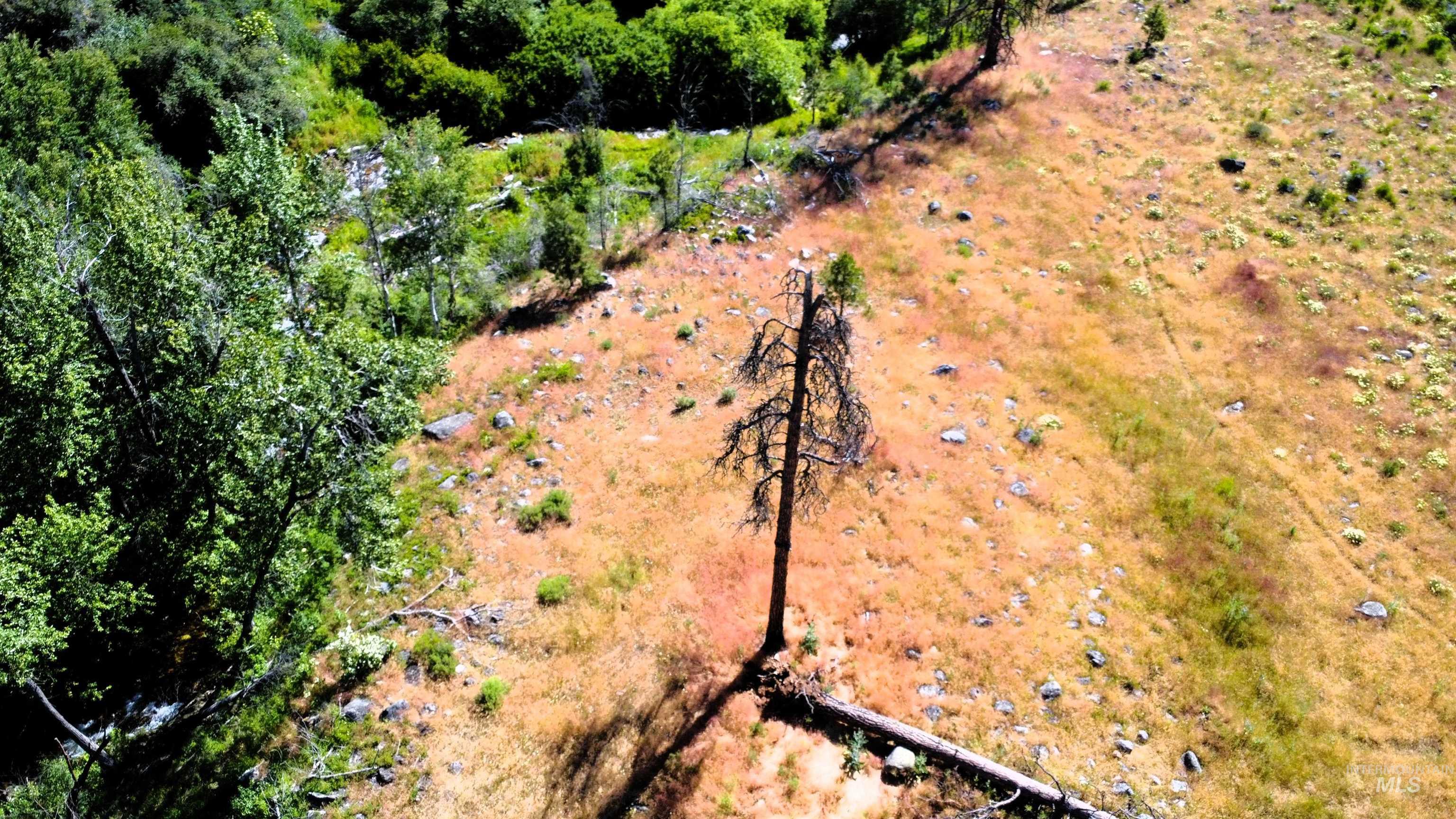 TBD Lot 1 Advent Gulch Rd, Cambridge, Idaho 83610, Land For Sale, Price $185,000, 98990721