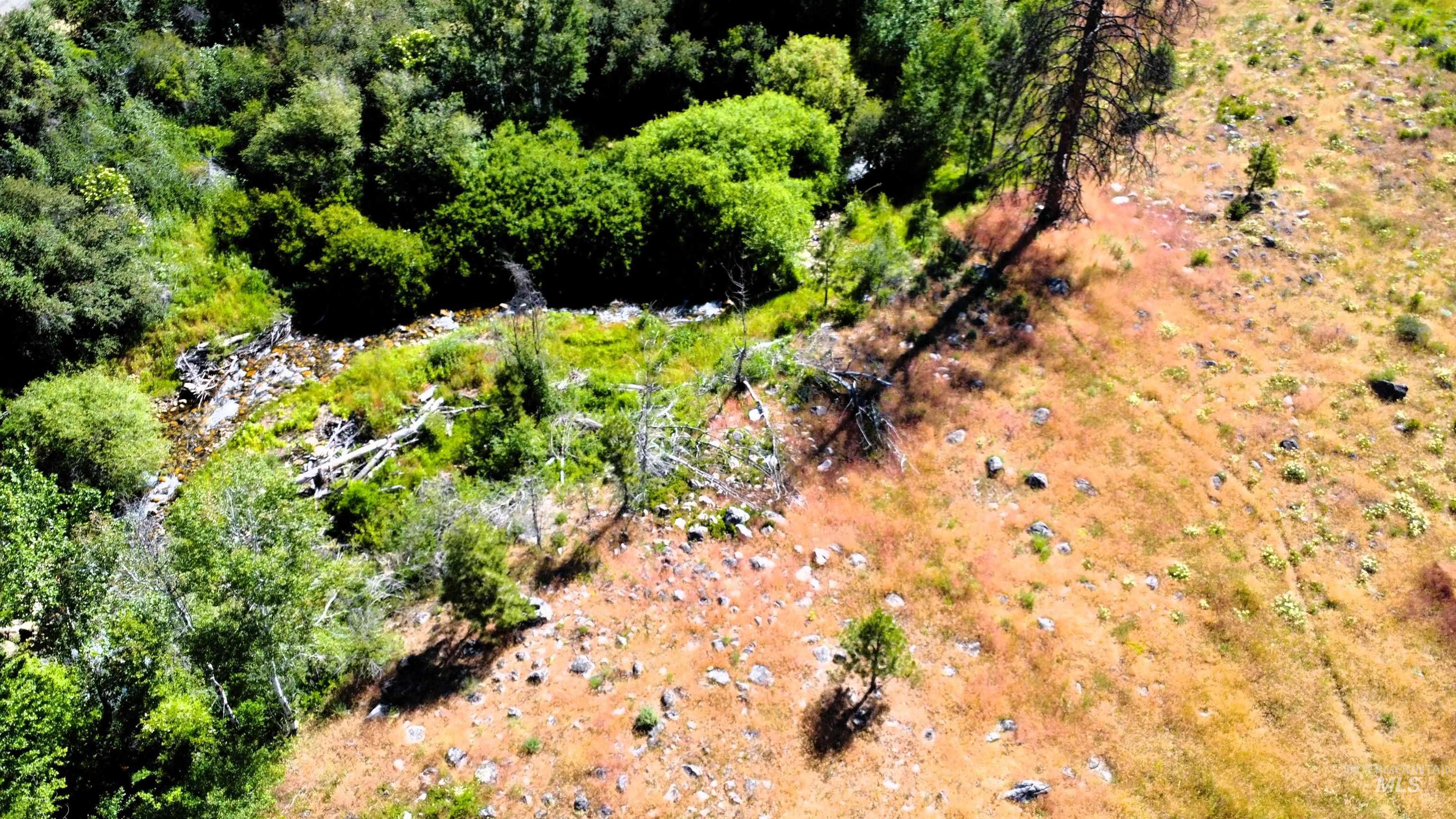 TBD Lot 1 Advent Gulch Rd, Cambridge, Idaho 83610, Land For Sale, Price $185,000, 98990721