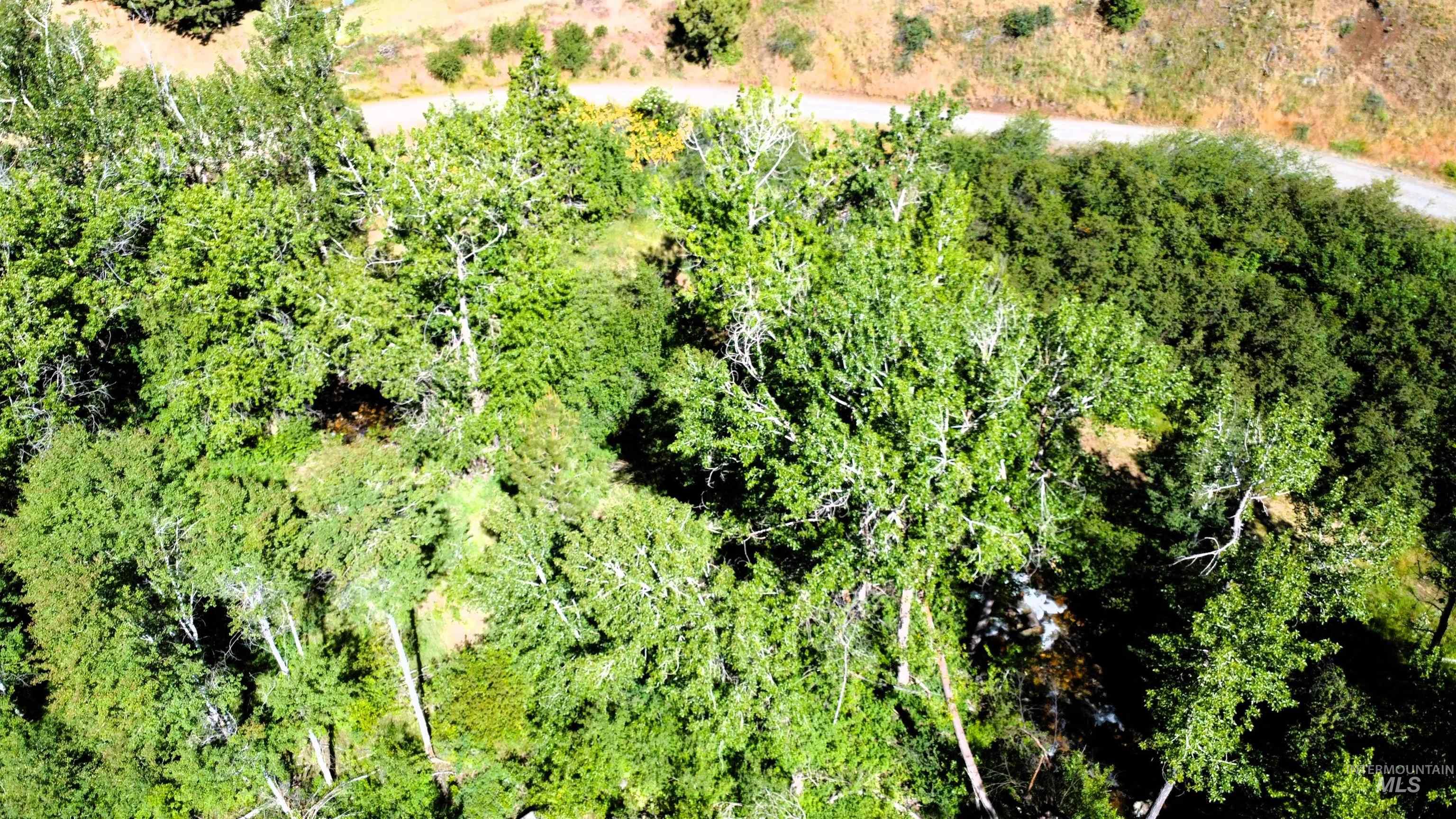 TBD Lot 1 Advent Gulch Rd, Cambridge, Idaho 83610, Land For Sale, Price $185,000, 98990721