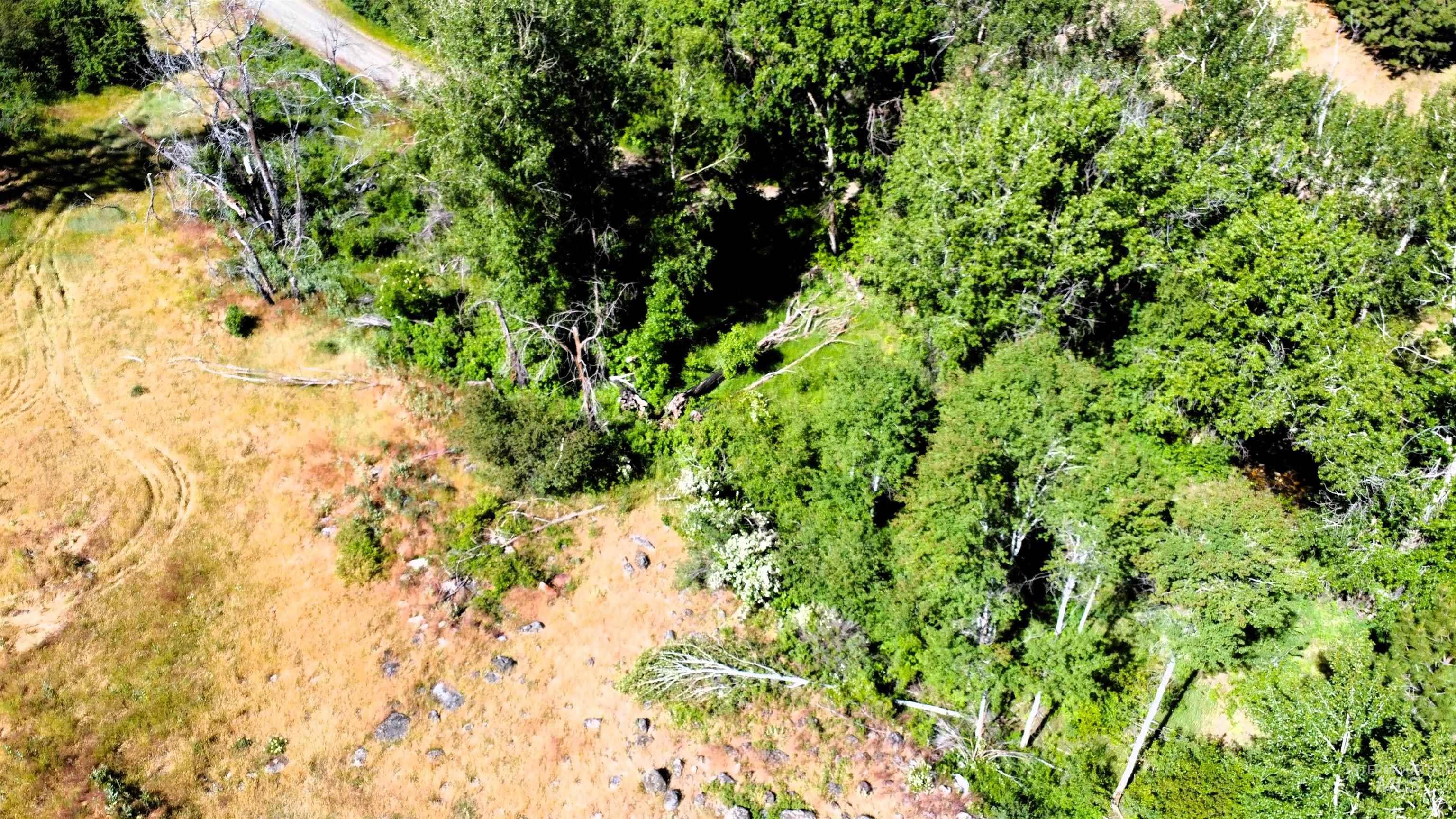 TBD Lot 1 Advent Gulch Rd, Cambridge, Idaho 83610, Land For Sale, Price $185,000, 98990721
