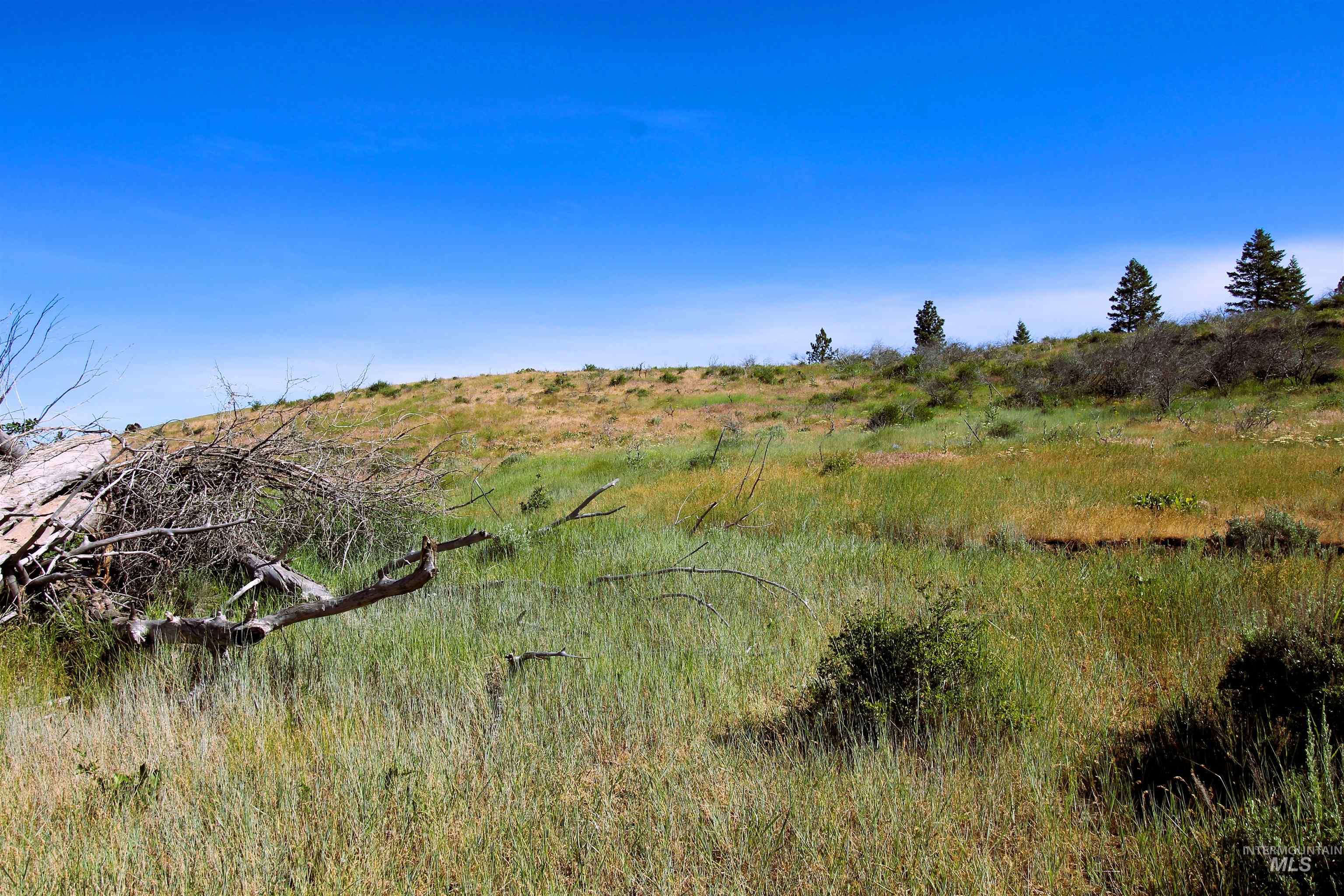 TBD Advent Gulch Rd., Cambridge, Idaho 83610, Land For Sale, Price $245,000, 98990738