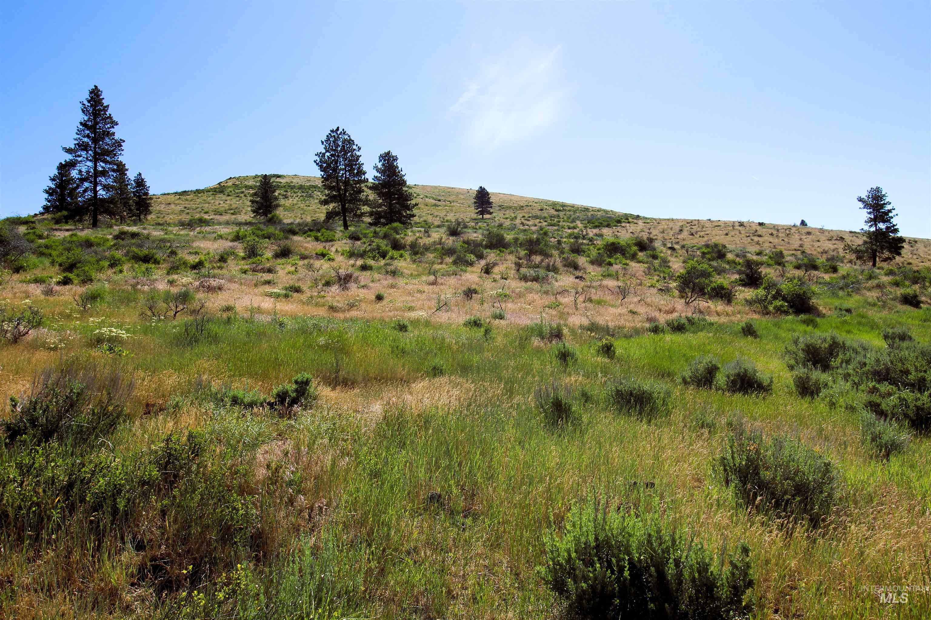 TBD Advent Gulch Rd., Cambridge, Idaho 83610, Land For Sale, Price $245,000, 98990738