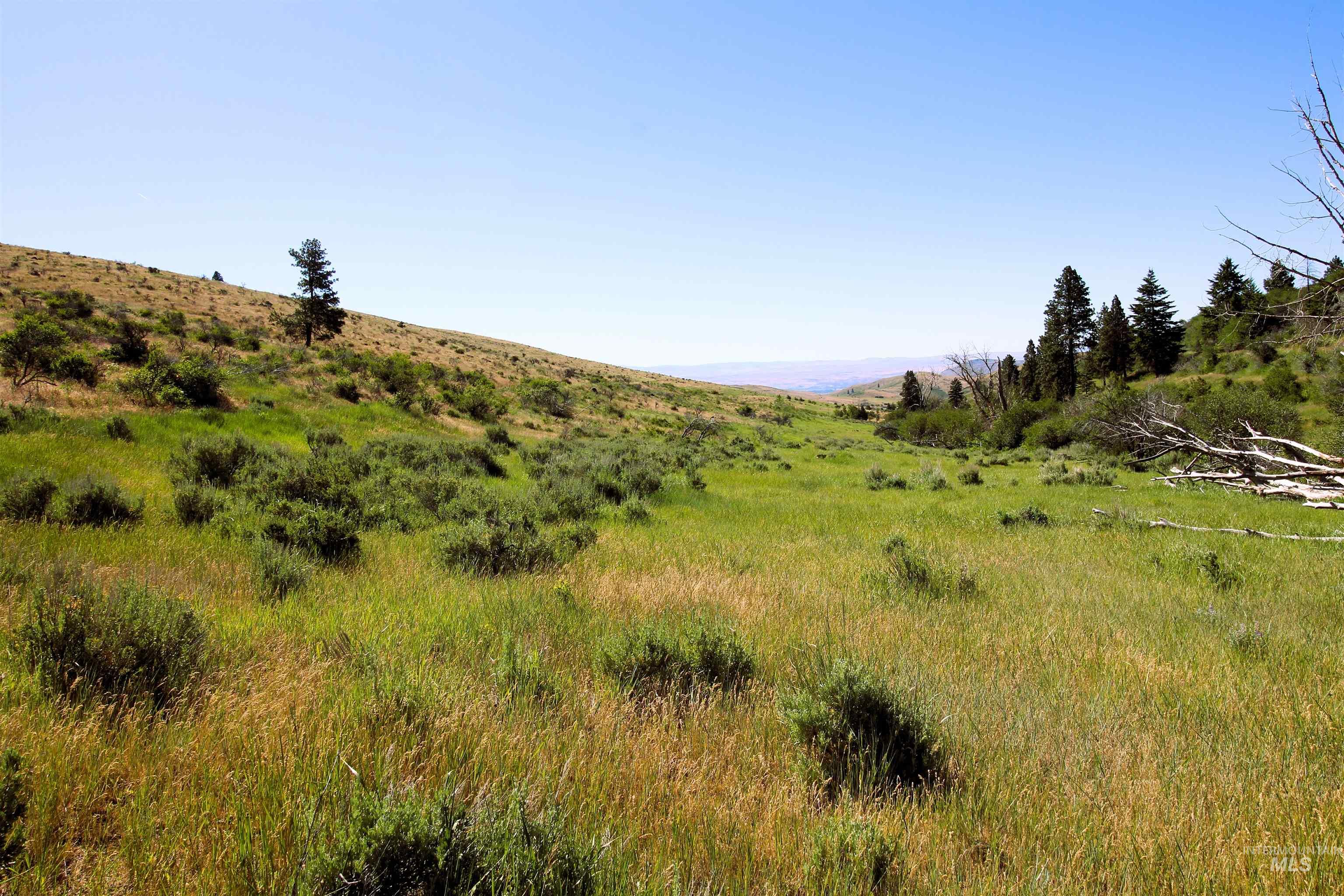 TBD Advent Gulch Rd., Cambridge, Idaho 83610, Land For Sale, Price $245,000, 98990738