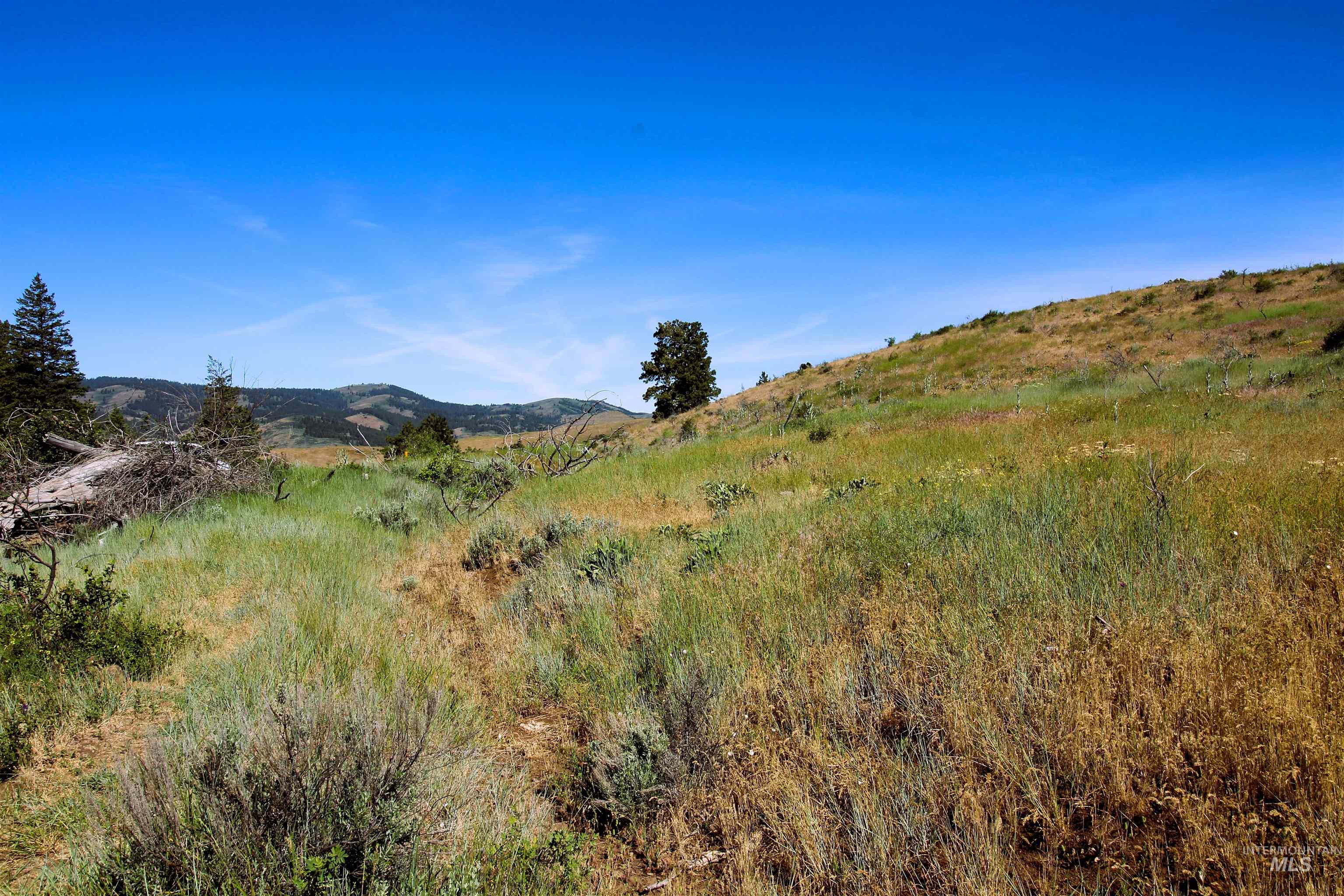 TBD Advent Gulch Rd., Cambridge, Idaho 83610, Land For Sale, Price $245,000, 98990738