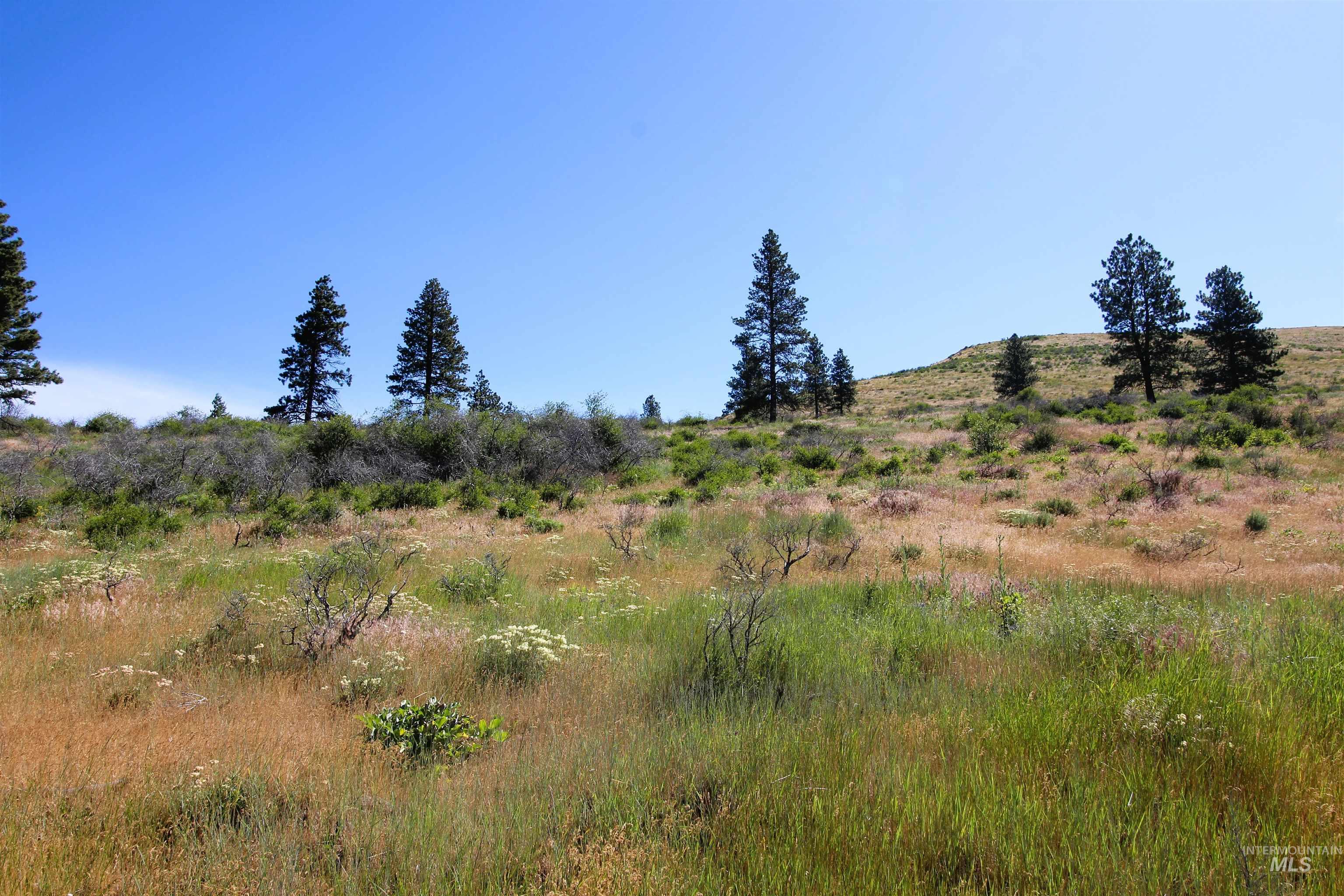 TBD Advent Gulch Rd., Cambridge, Idaho 83610, Land For Sale, Price $245,000, 98990738