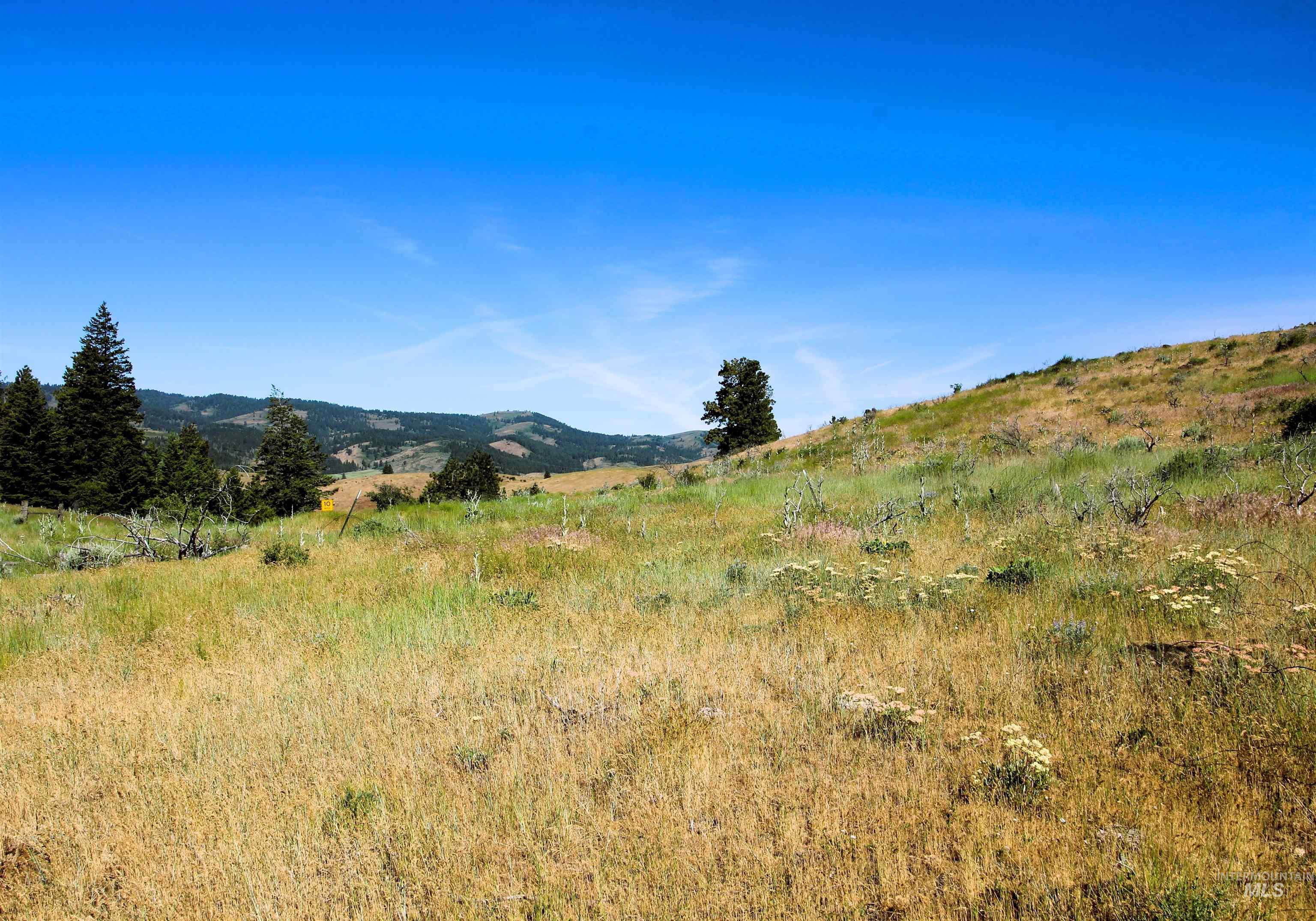 TBD Advent Gulch Rd., Cambridge, Idaho 83610, Land For Sale, Price $245,000, 98990738
