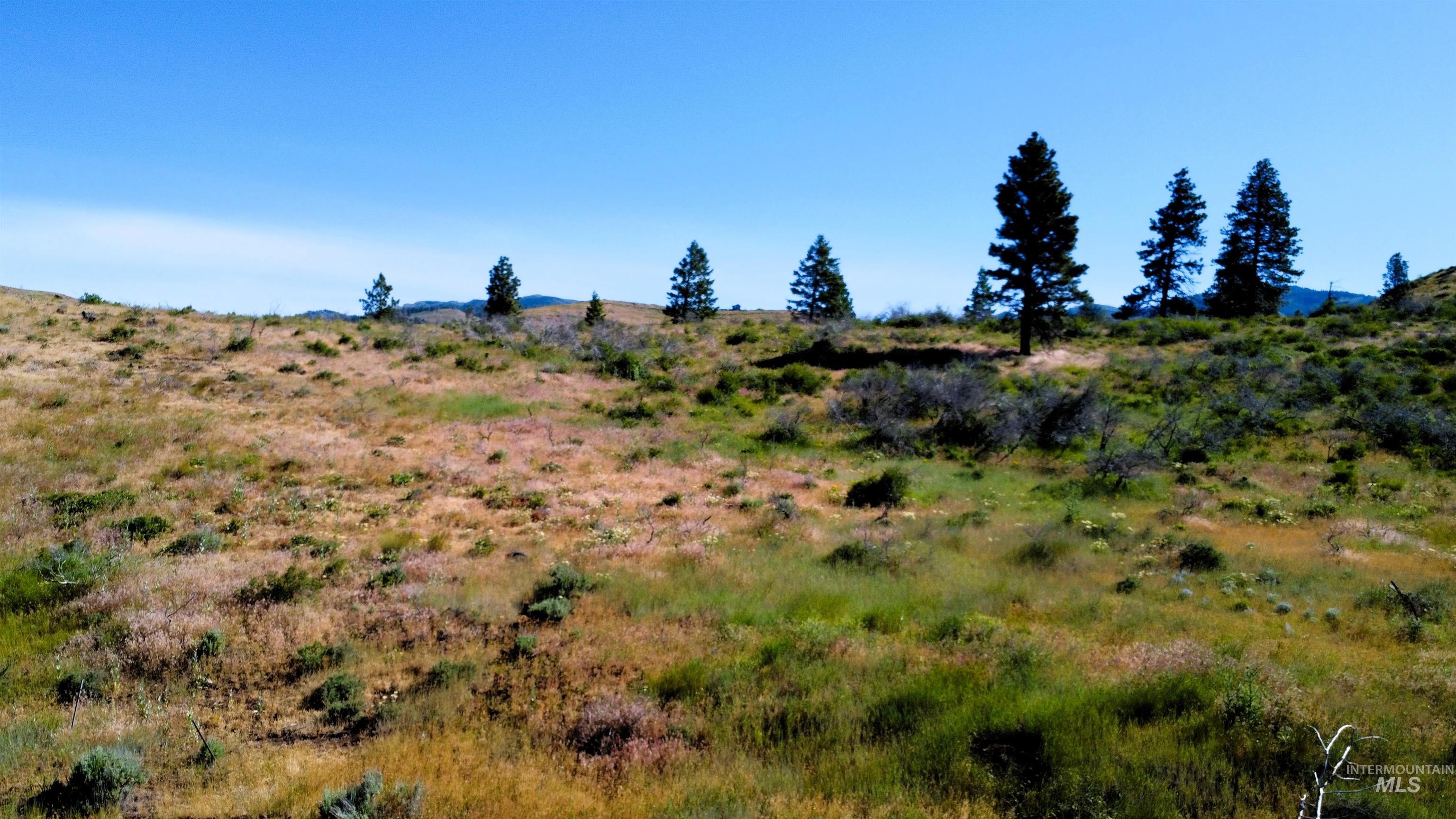 TBD Advent Gulch Rd., Cambridge, Idaho 83610, Land For Sale, Price $245,000, 98990738