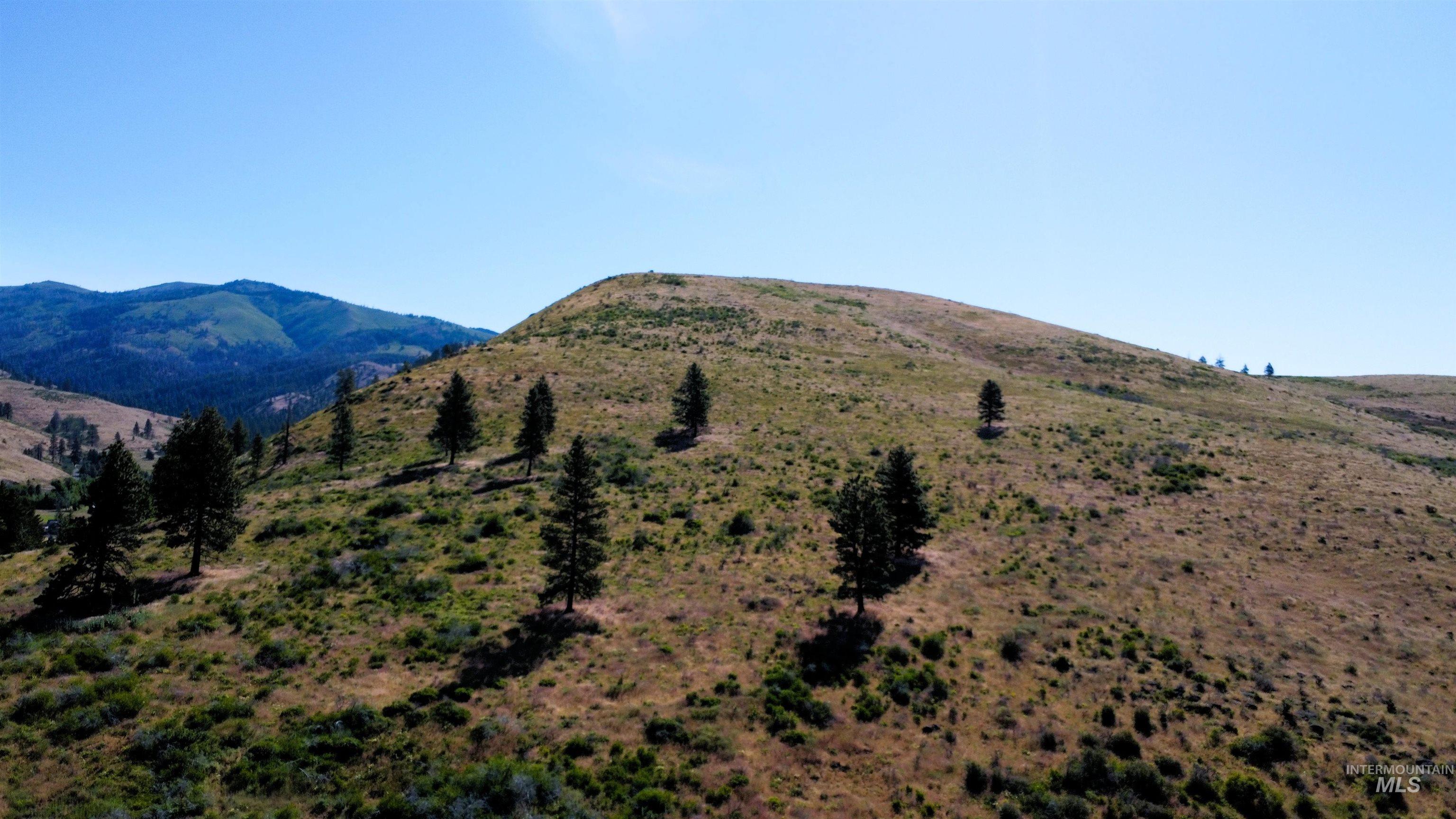 TBD Advent Gulch Rd., Cambridge, Idaho 83610, Land For Sale, Price $245,000, 98990738