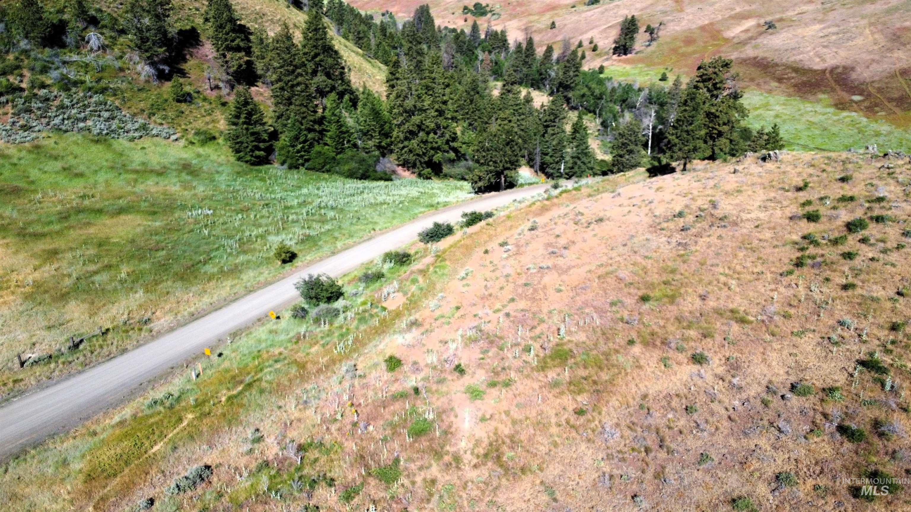 TBD Advent Gulch Rd., Cambridge, Idaho 83610, Land For Sale, Price $245,000, 98990738