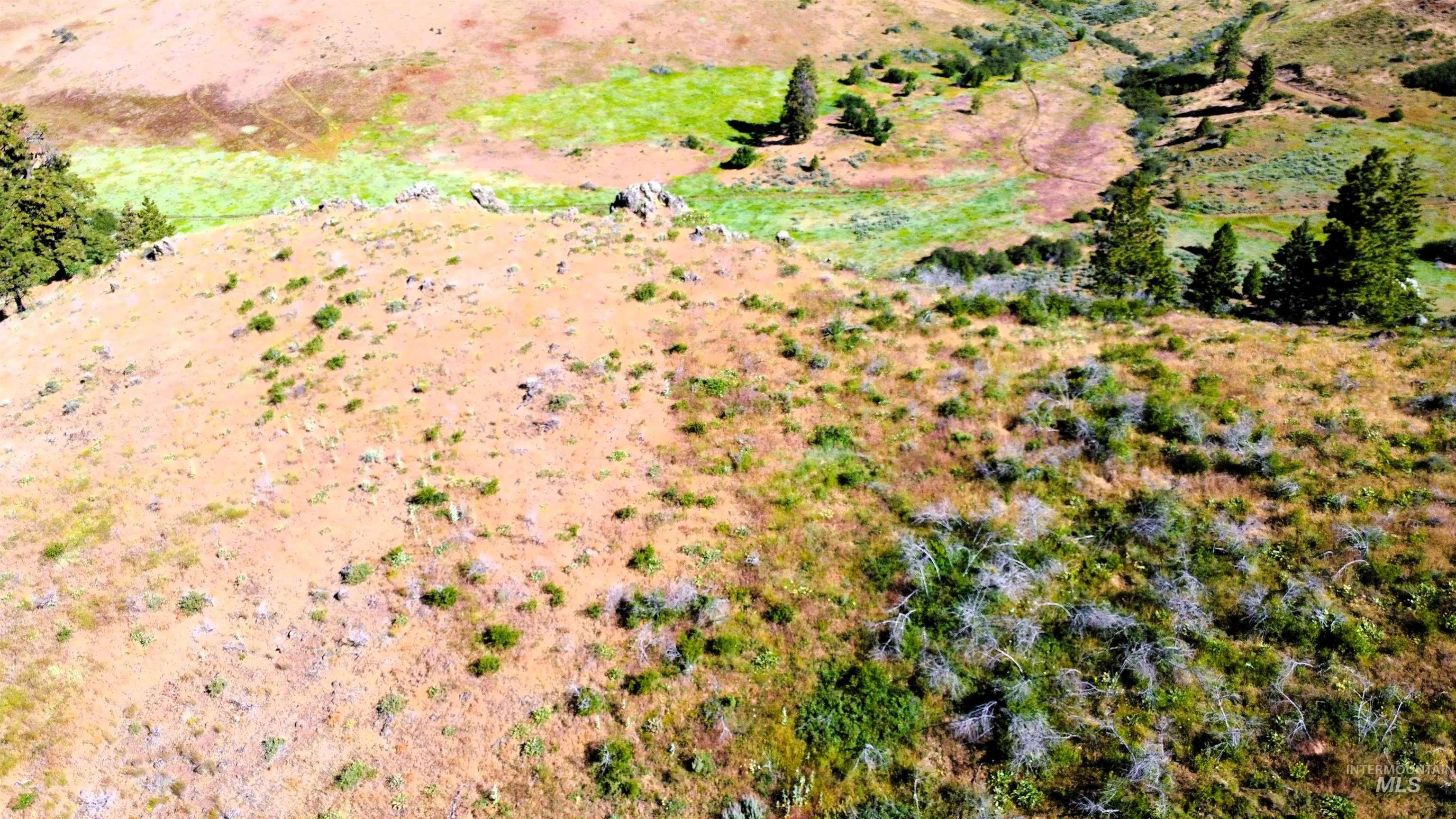 TBD Advent Gulch Rd., Cambridge, Idaho 83610, Land For Sale, Price $245,000, 98990738
