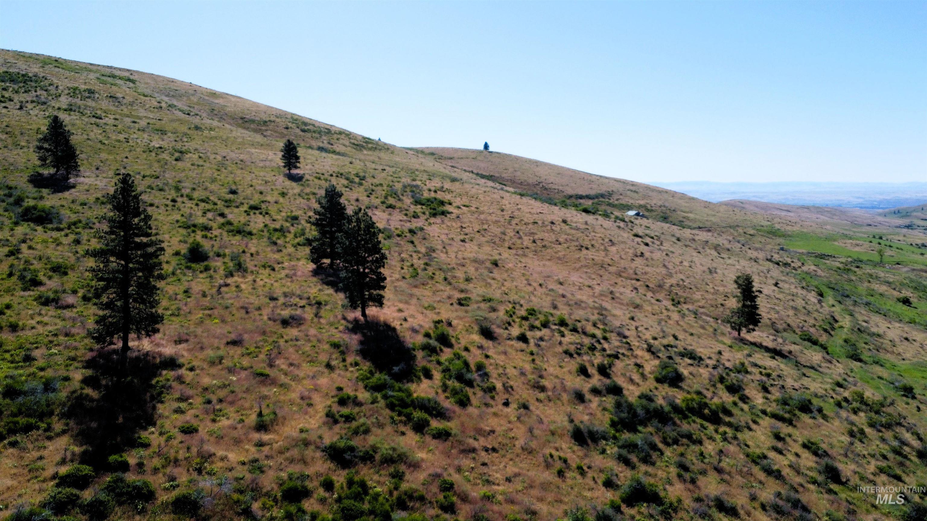 TBD Advent Gulch Rd., Cambridge, Idaho 83610, Land For Sale, Price $245,000, 98990738