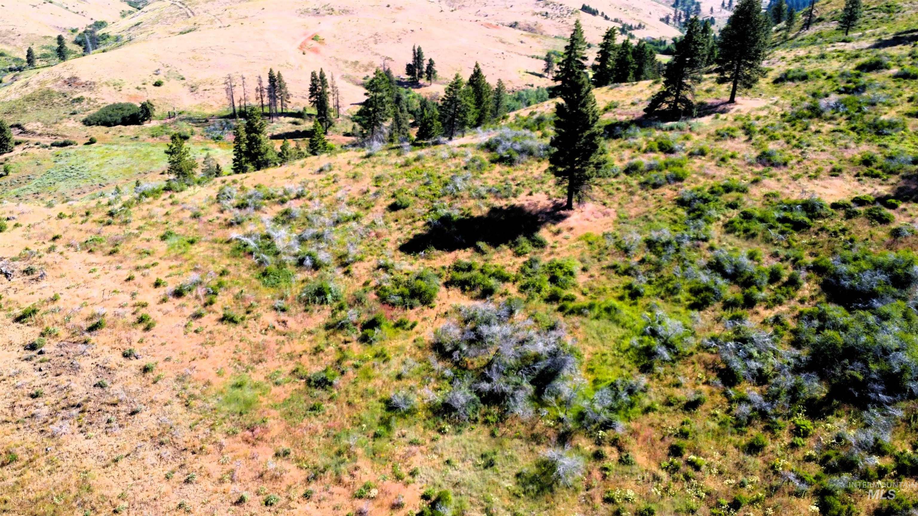 TBD Advent Gulch Rd., Cambridge, Idaho 83610, Land For Sale, Price $245,000, 98990738