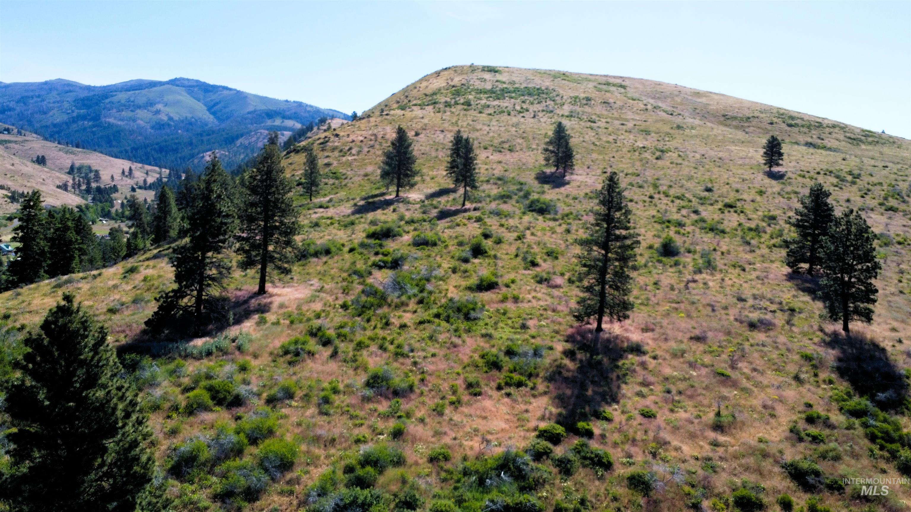 TBD Advent Gulch Rd., Cambridge, Idaho 83610, Land For Sale, Price $245,000, 98990738