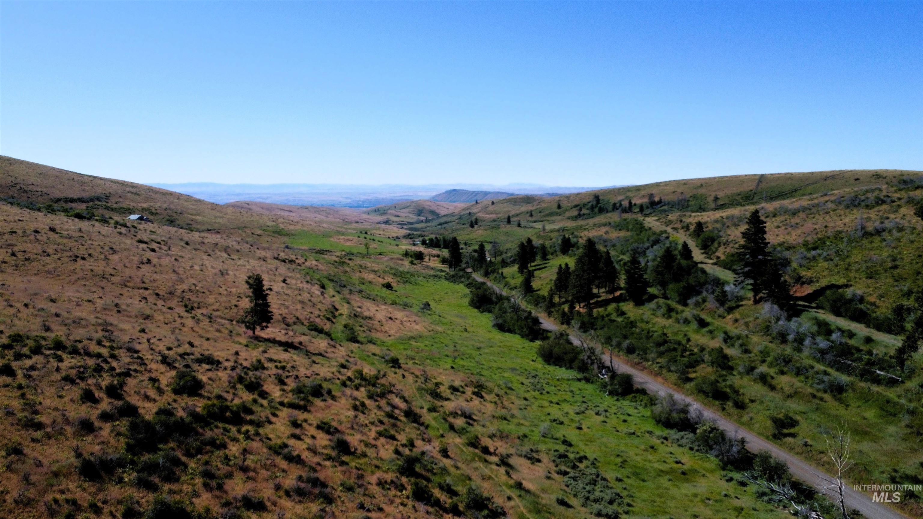 TBD Advent Gulch Rd., Cambridge, Idaho 83610, Land For Sale, Price $245,000, 98990738