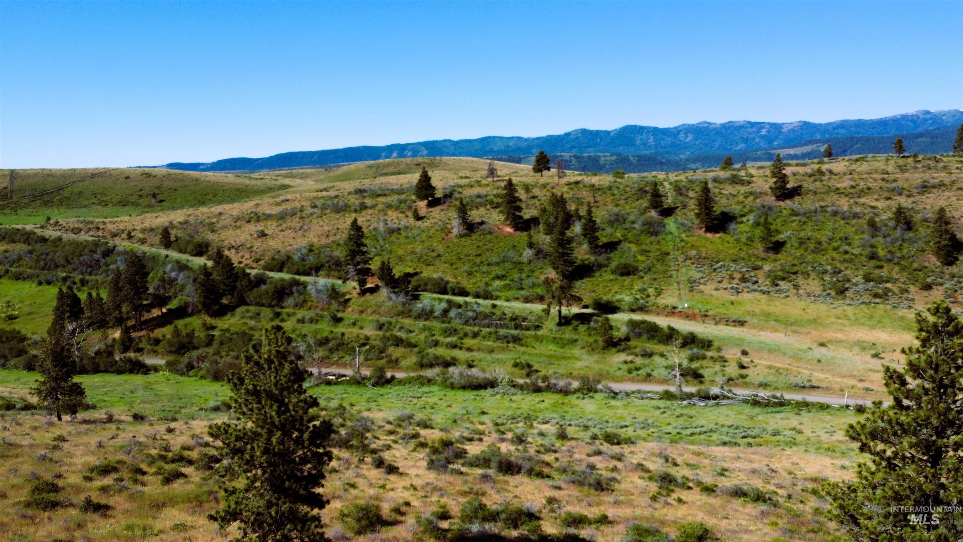 TBD Advent Gulch Rd., Cambridge, Idaho 83610, Land For Sale, Price $245,000, 98990738