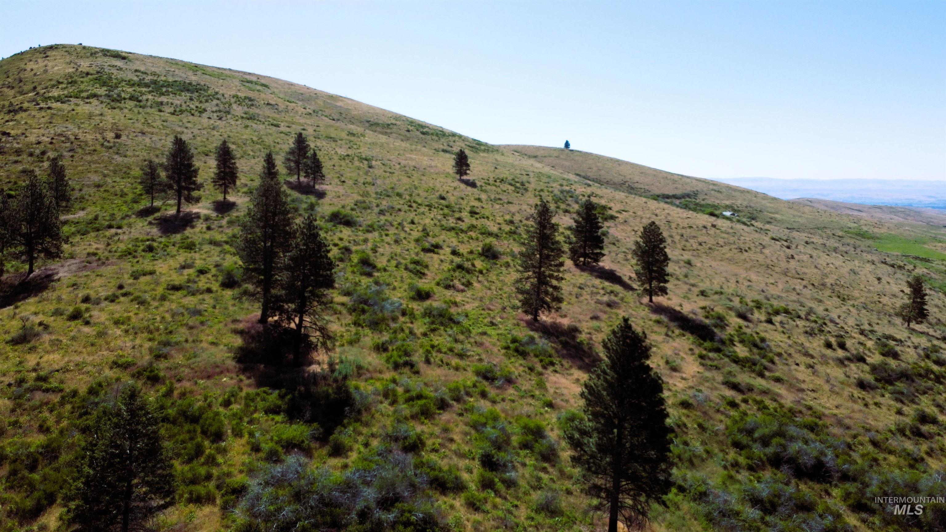 TBD Advent Gulch Rd., Cambridge, Idaho 83610, Land For Sale, Price $245,000, 98990738