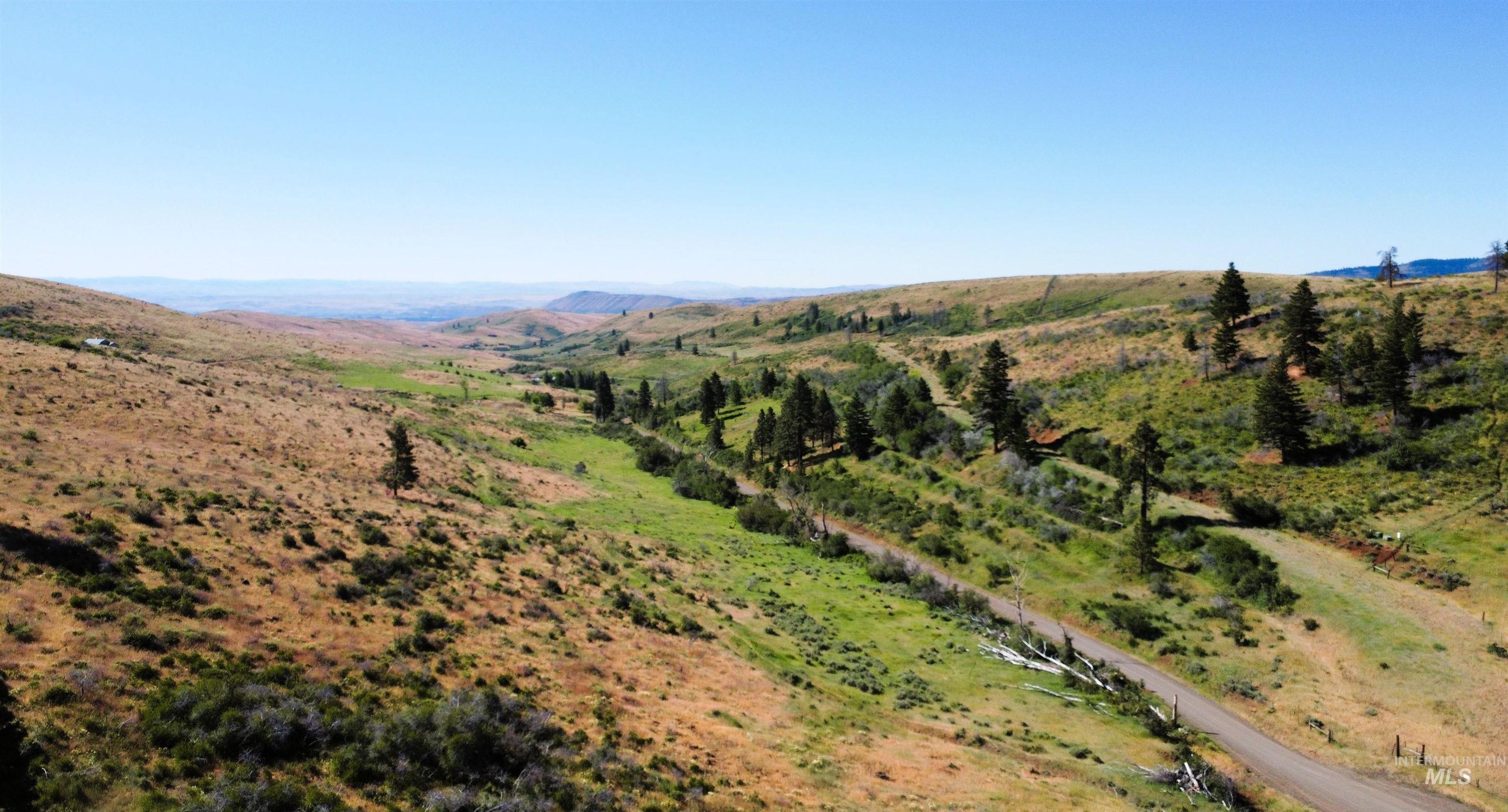 TBD Advent Gulch Rd., Cambridge, Idaho 83610, Land For Sale, Price $245,000, 98990738