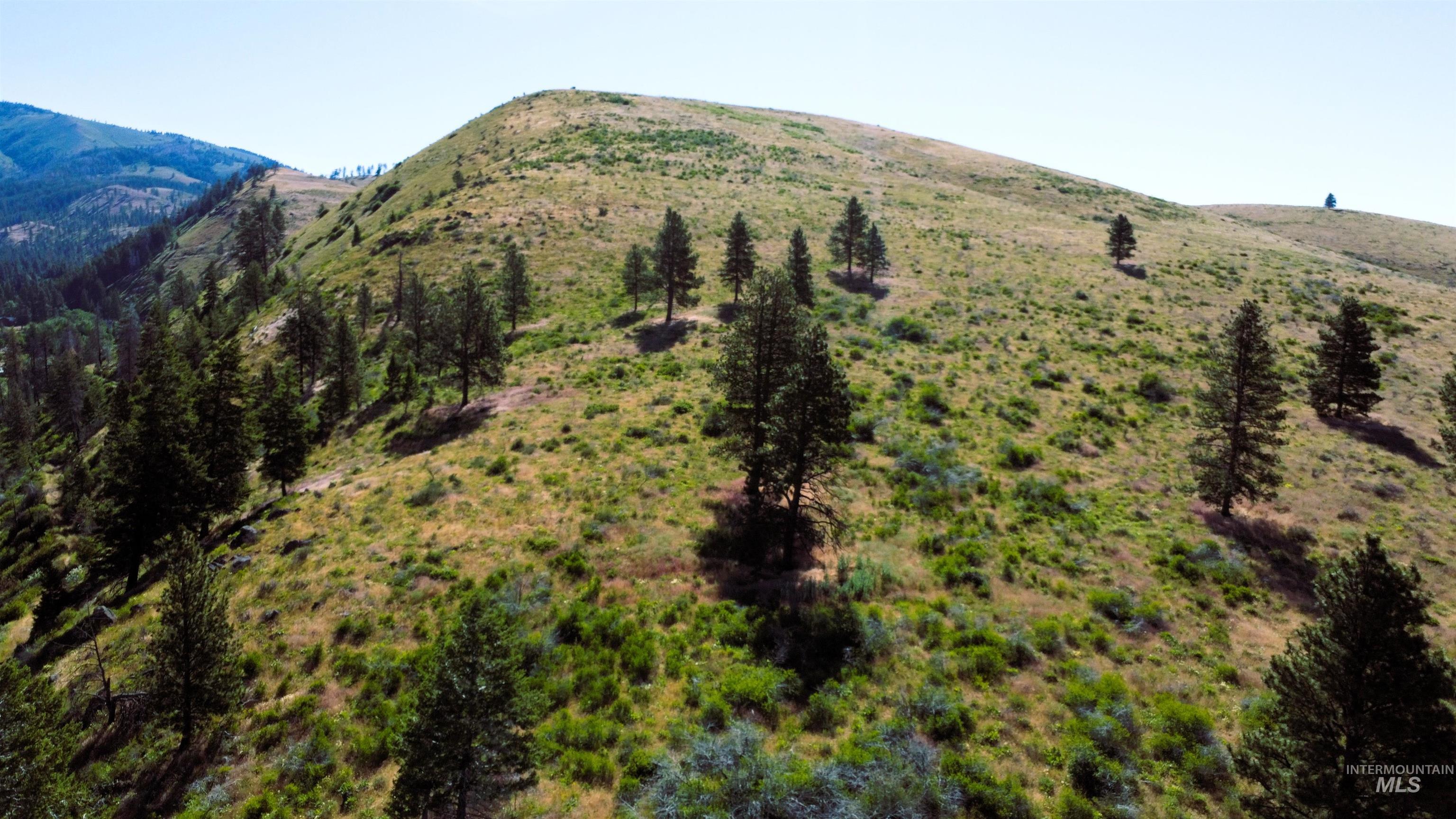 TBD Advent Gulch Rd., Cambridge, Idaho 83610, Land For Sale, Price $245,000, 98990738