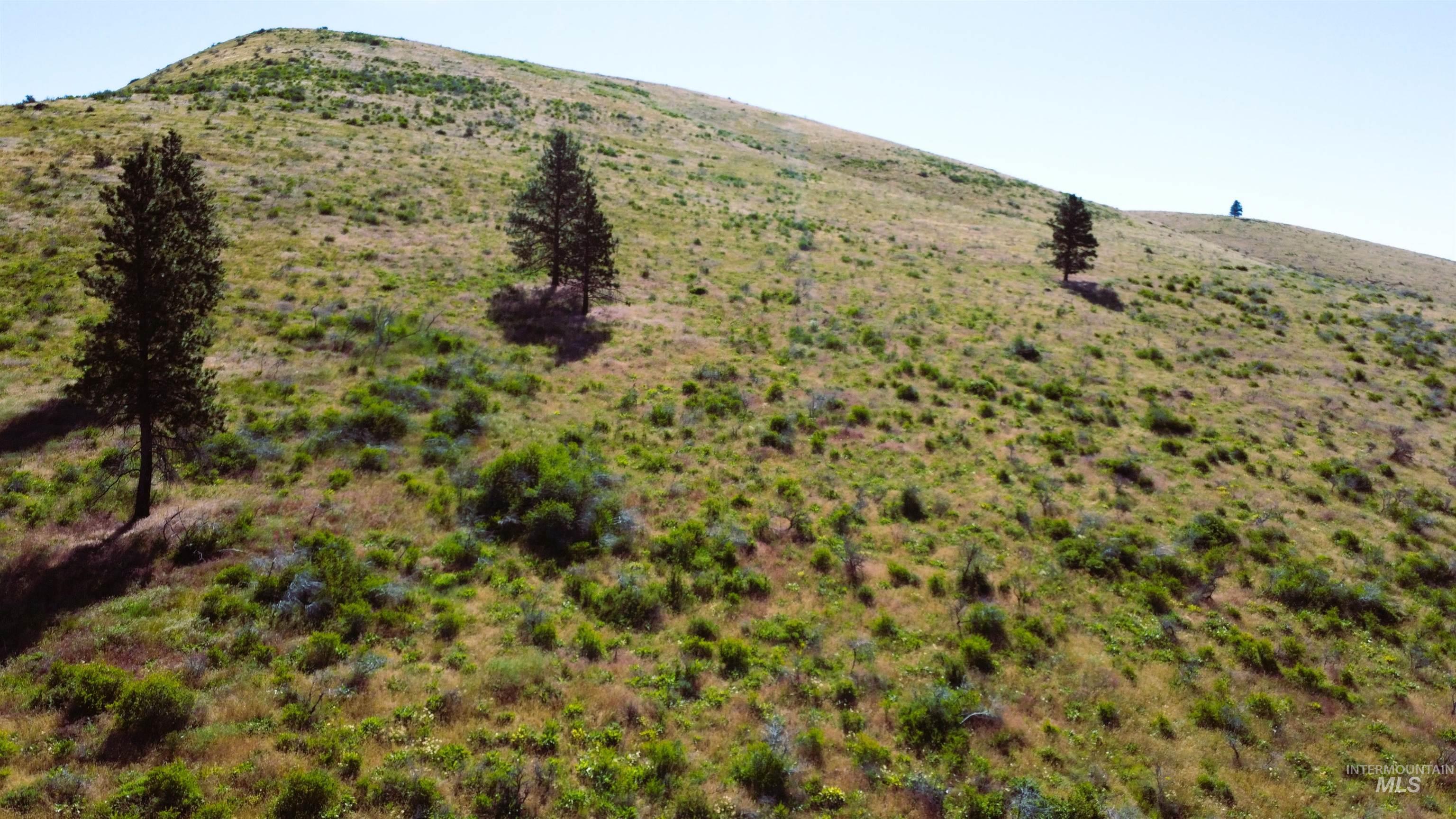 TBD Advent Gulch Rd., Cambridge, Idaho 83610, Land For Sale, Price $245,000, 98990738