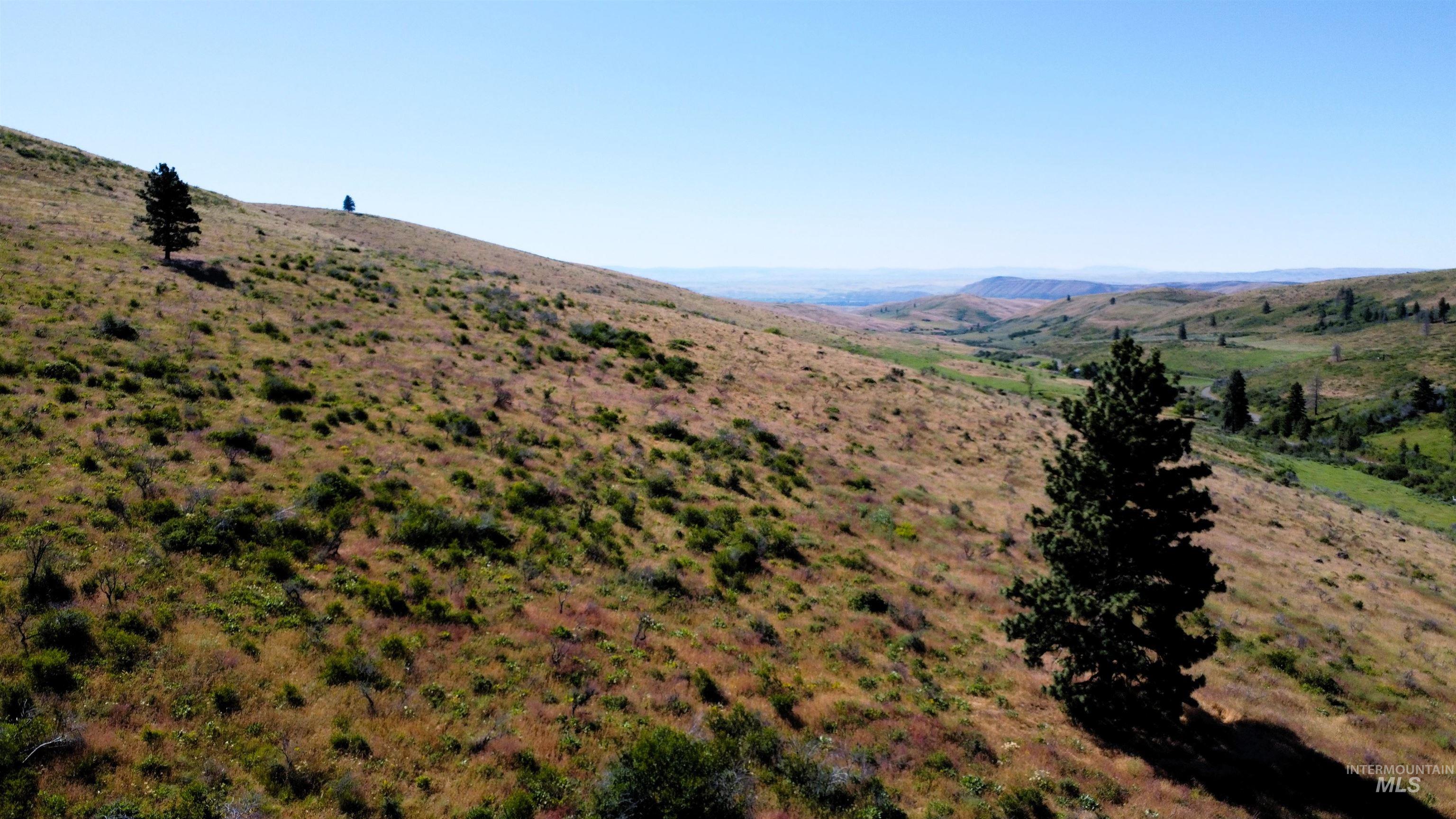 TBD Advent Gulch Rd., Cambridge, Idaho 83610, Land For Sale, Price $245,000, 98990738