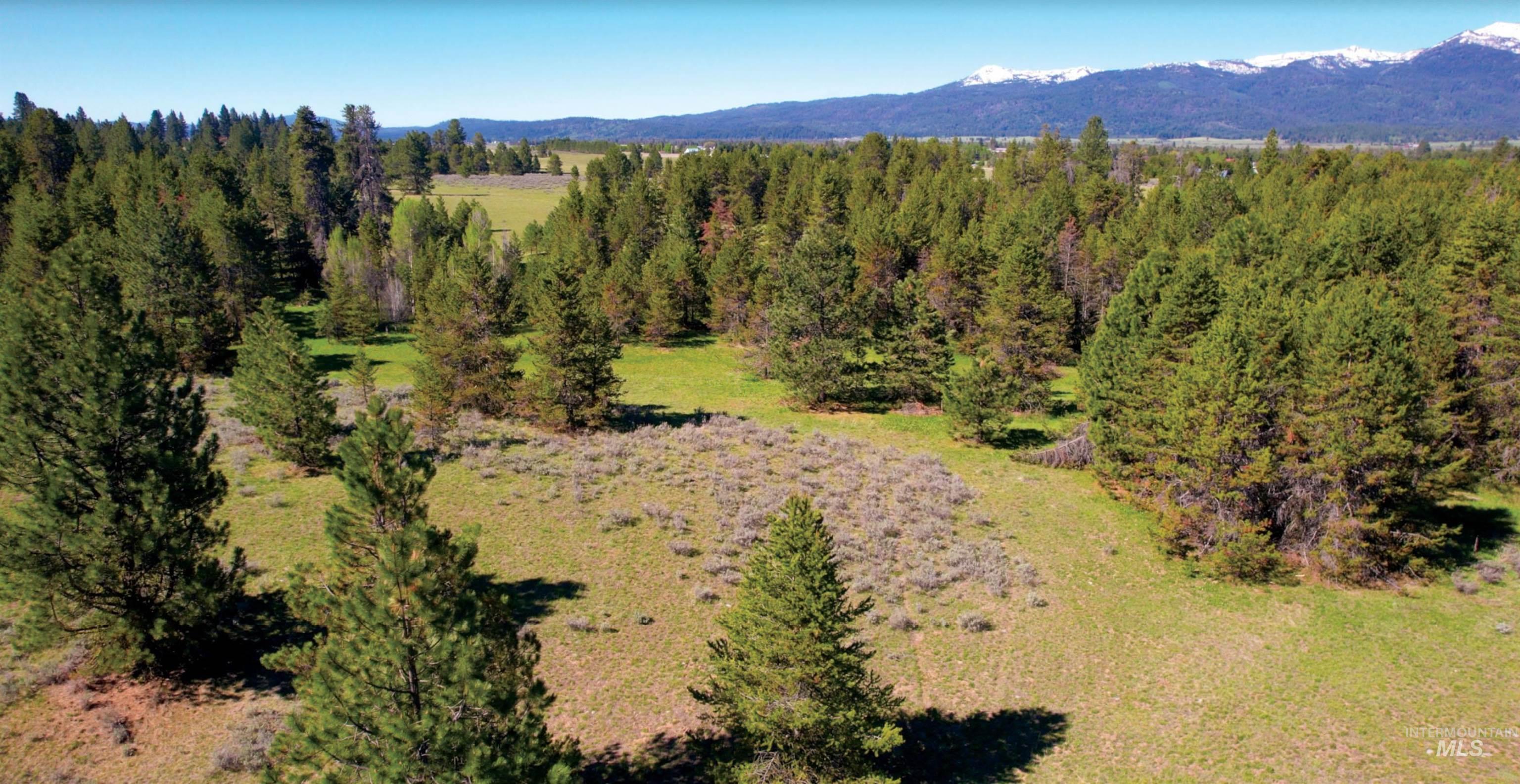 &plusmn;320 acres Big Creek Meadows, Cascade, Idaho 83611, Farm & Ranch For Sale, Price $3,520,000,MLS 98990805