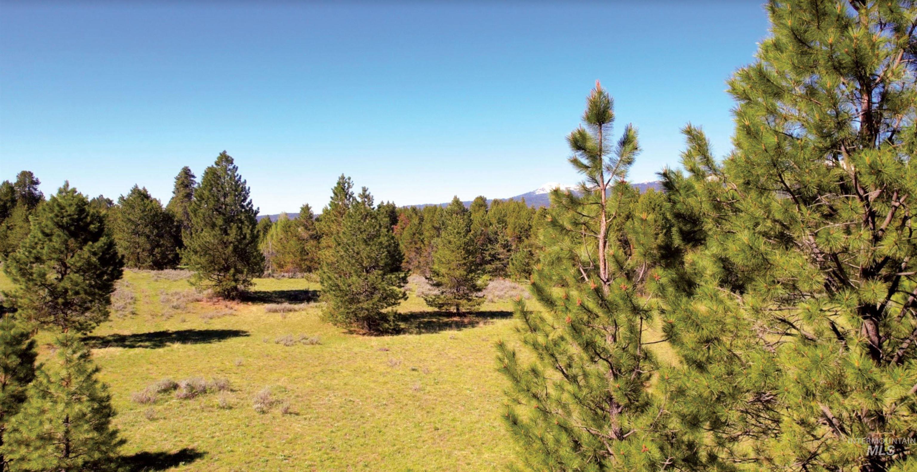 &plusmn;320 acres Big Creek Meadows, Cascade, Idaho 83611, Farm & Ranch For Sale, Price $3,520,000,MLS 98990805