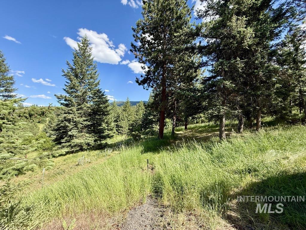 24 Ashley Place, Grangeville, Idaho 83530, 3 Bedrooms, 3 Bathrooms, Residential For Sale, Price $599,000,MLS 98990831