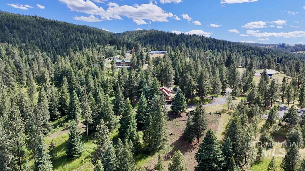 24 Ashley Place, Grangeville, Idaho 83530, 3 Bedrooms, 3 Bathrooms, Residential For Sale, Price $599,000,MLS 98990831