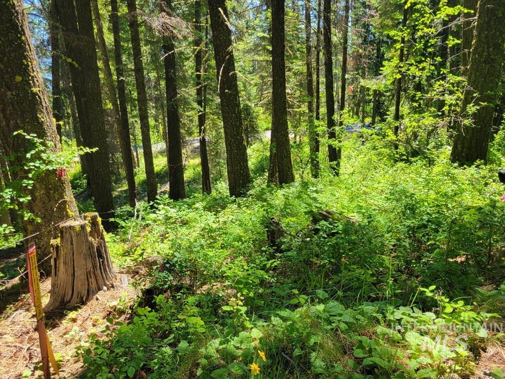671 West Mountain Rd, Cascade, Idaho 83611, Land For Sale, Price $669,900,MLS 98990843