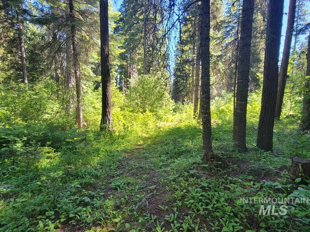 671 West Mountain Rd, Cascade, Idaho 83611, Land For Sale, Price $669,900,MLS 98990843