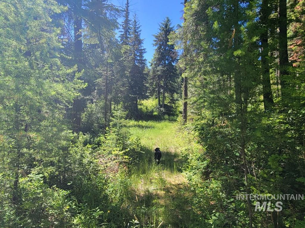 671 West Mountain Rd, Cascade, Idaho 83611, Land For Sale, Price $669,900,MLS 98990843