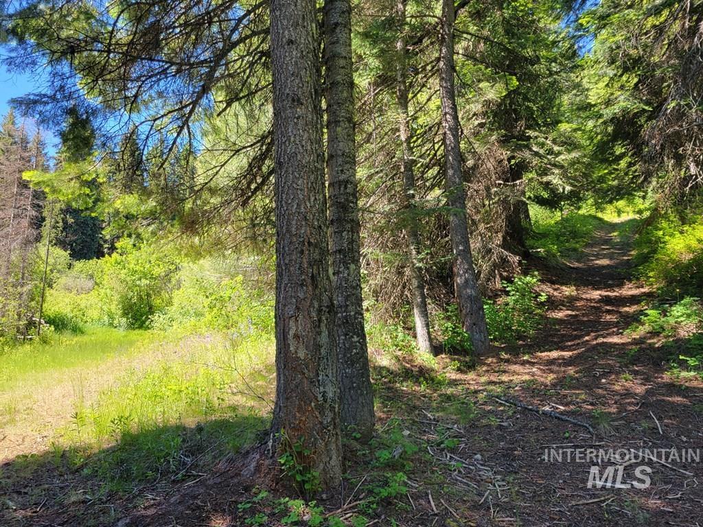 671 West Mountain Rd, Cascade, Idaho 83611, Land For Sale, Price $669,900,MLS 98990843