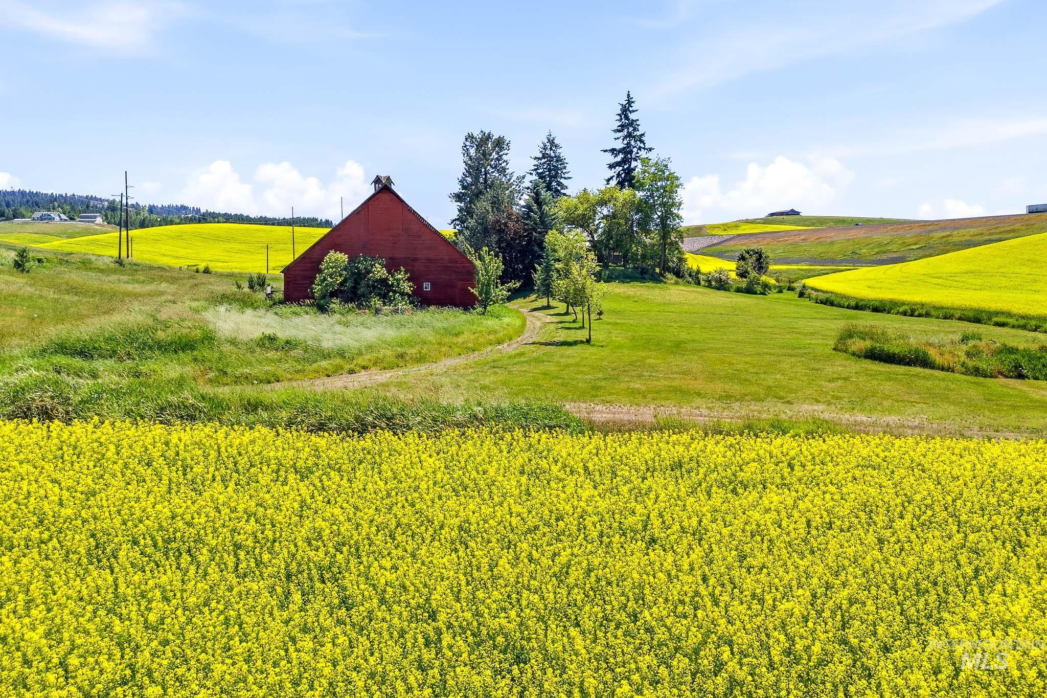 1185 Paradise Ridge Rd, Moscow, Idaho 83843, 4 Bedrooms, 2 Bathrooms, Residential For Sale, Price $540,000,MLS 98990869