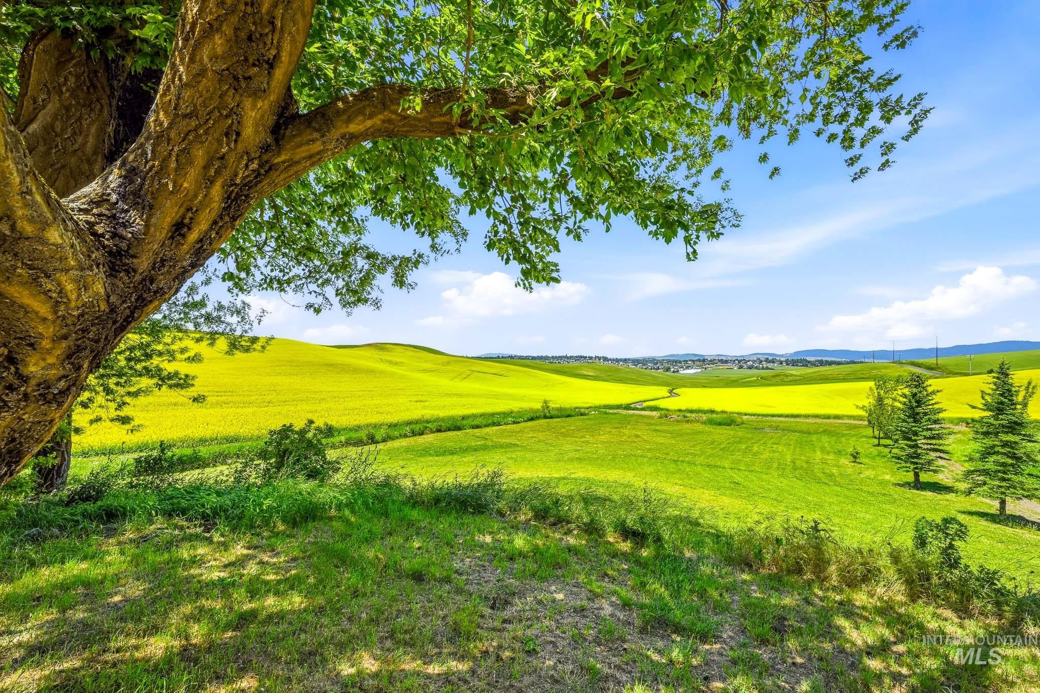 1185 Paradise Ridge Rd, Moscow, Idaho 83843, 4 Bedrooms, 2 Bathrooms, Residential For Sale, Price $540,000,MLS 98990869